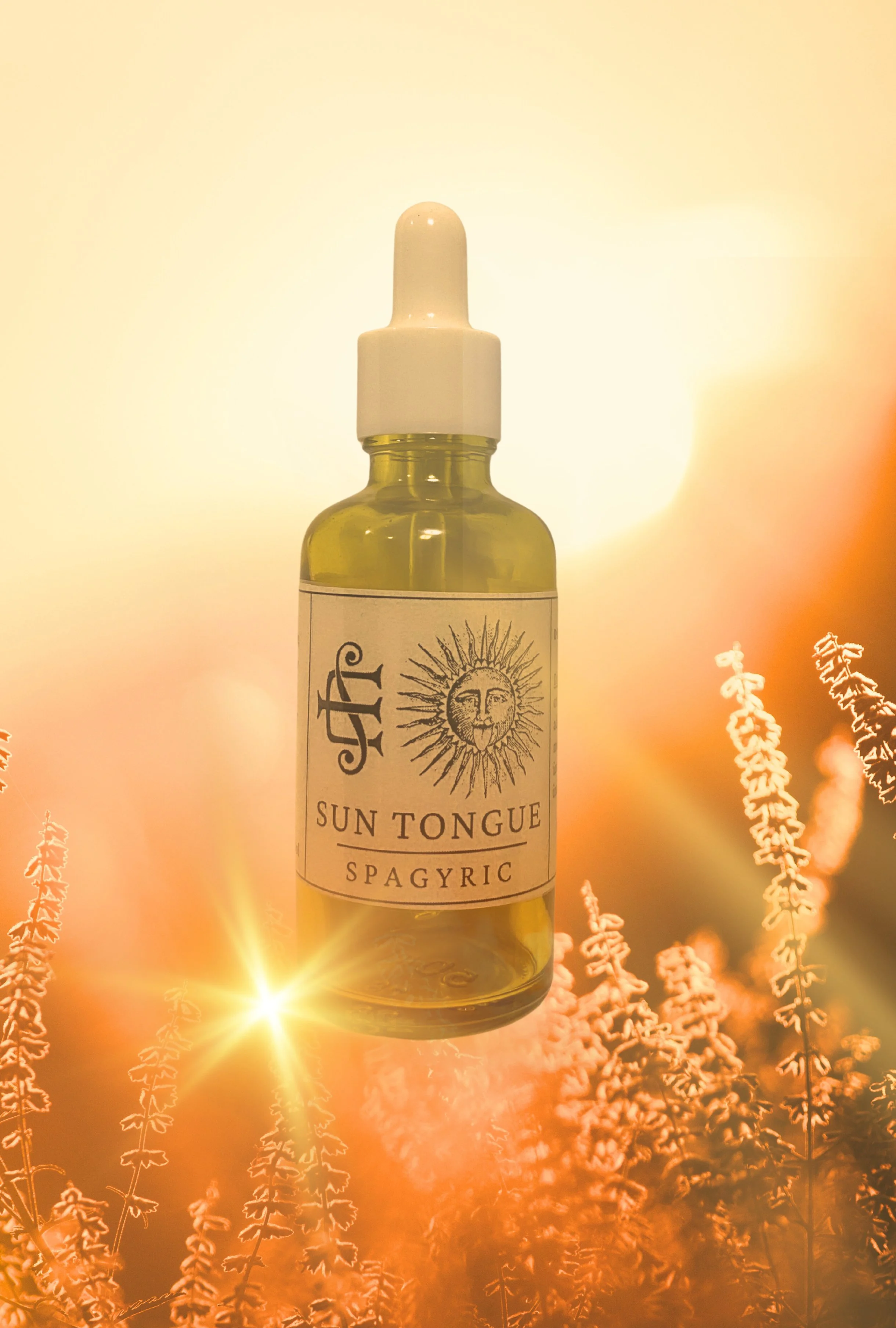 Neutral Nature Photograph Modern Album Cover.jpg