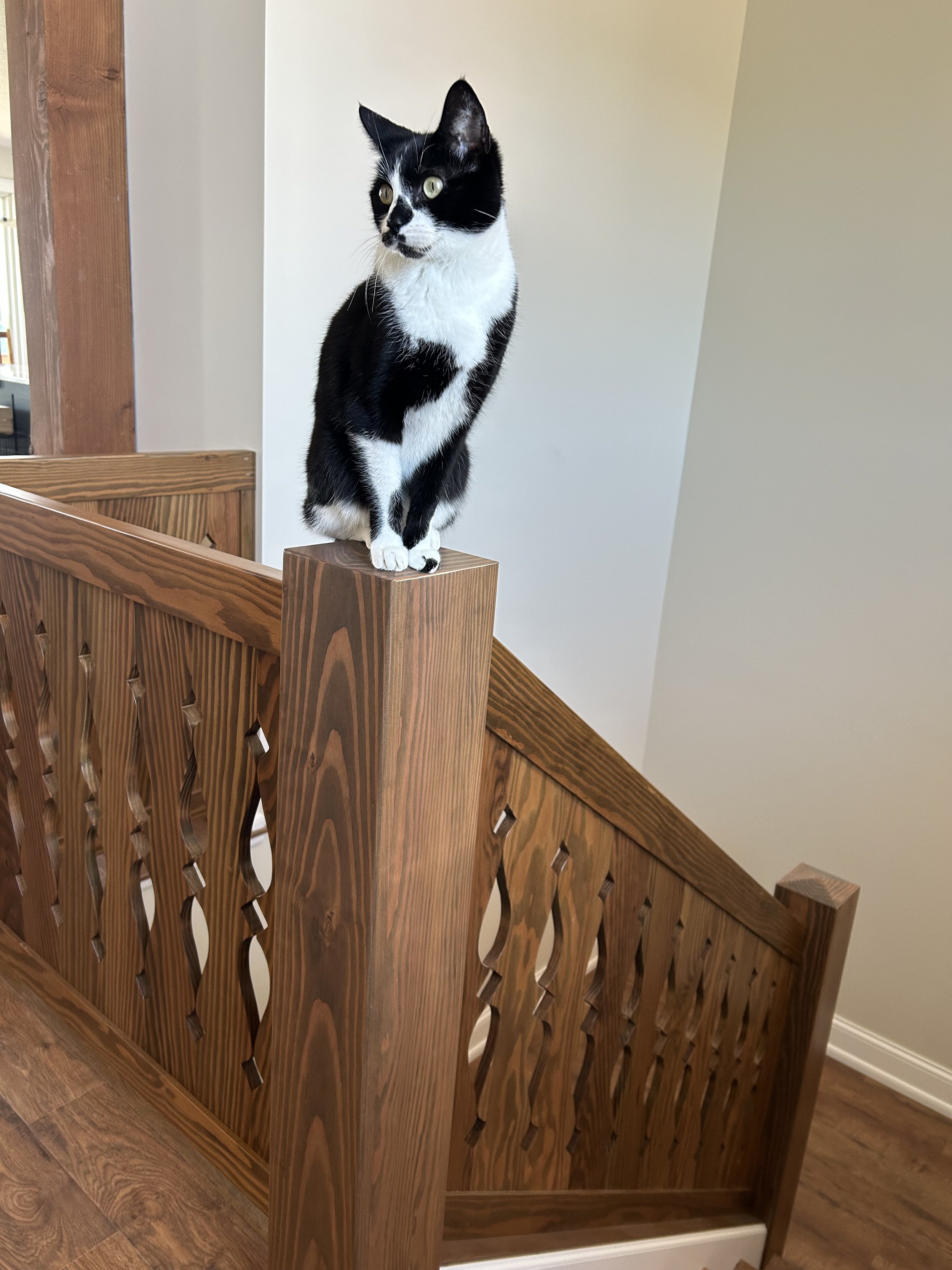 Black and white cat perched on a custom wooden stair railing inspired by traditional Norwegian carving.