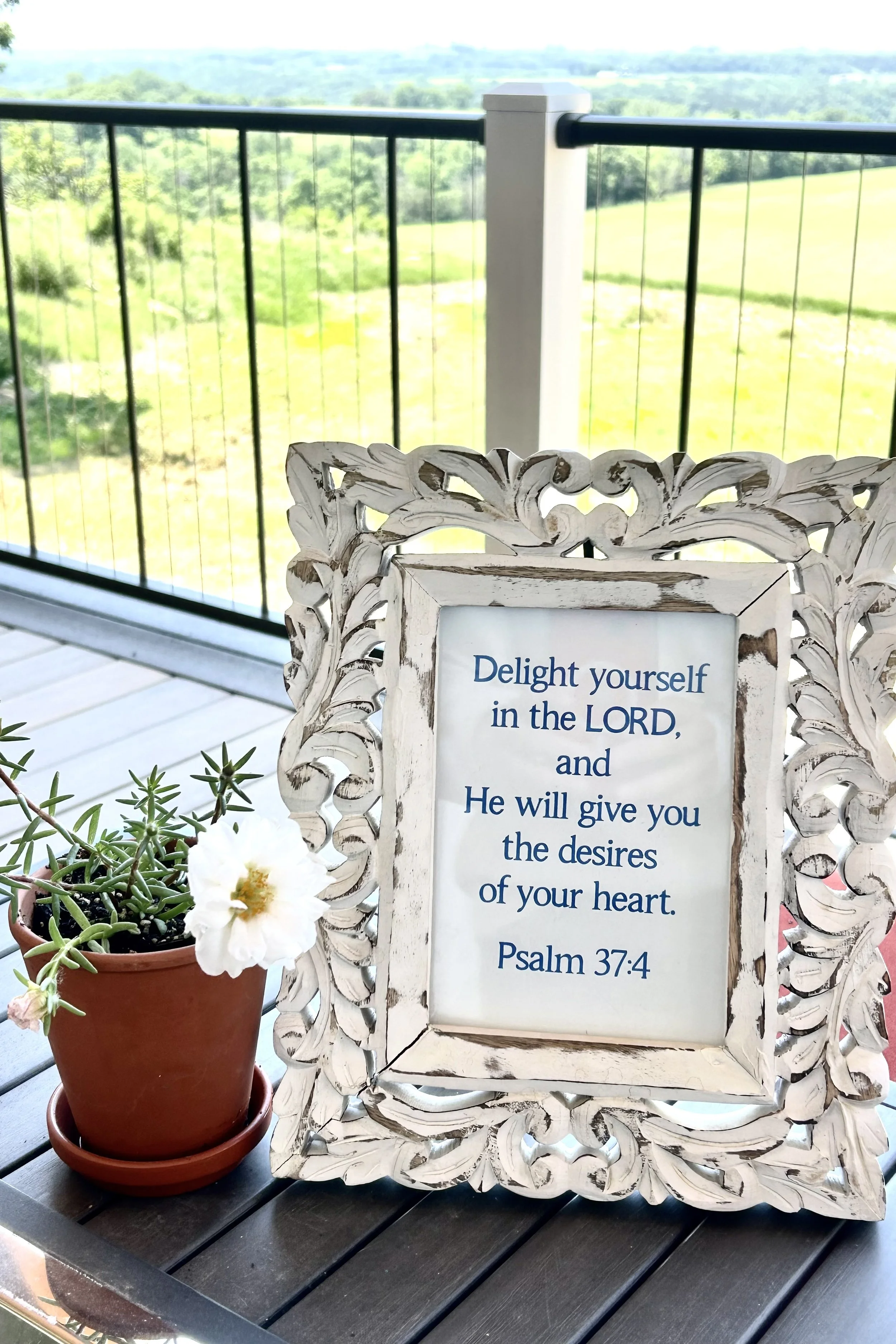 Decorative frame displaying Psalm 37:4 on a covered back deck overlooking the family farm.