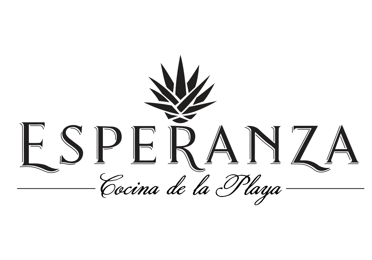 Logo for Esperanza featuring a stylized plant or leaf graphic above the word 'Esperanza' in elegant black serif font.