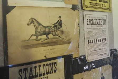 Horse racing circulars