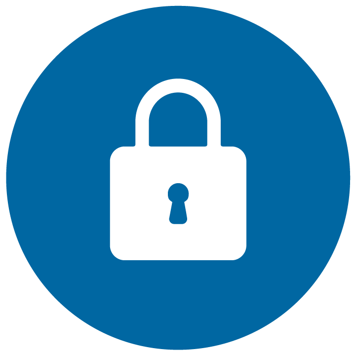 IT Security Services