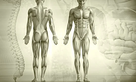 Telehealth Office Visit