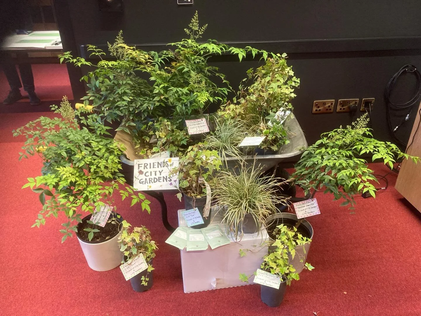 We were delighted to be a part of the launch of @barbicanandcommunitylibraries Library of Things today. All of these plants found a new home 💚

@greensqmile #libraryofthings