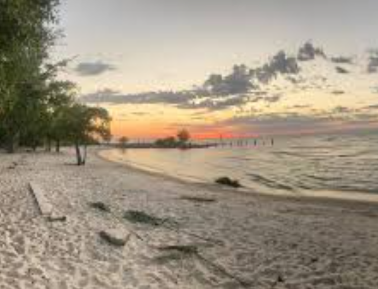 U.S. Rep. Carter Secures Additional $1.5 Million in Federal Funds for Lincoln Beach