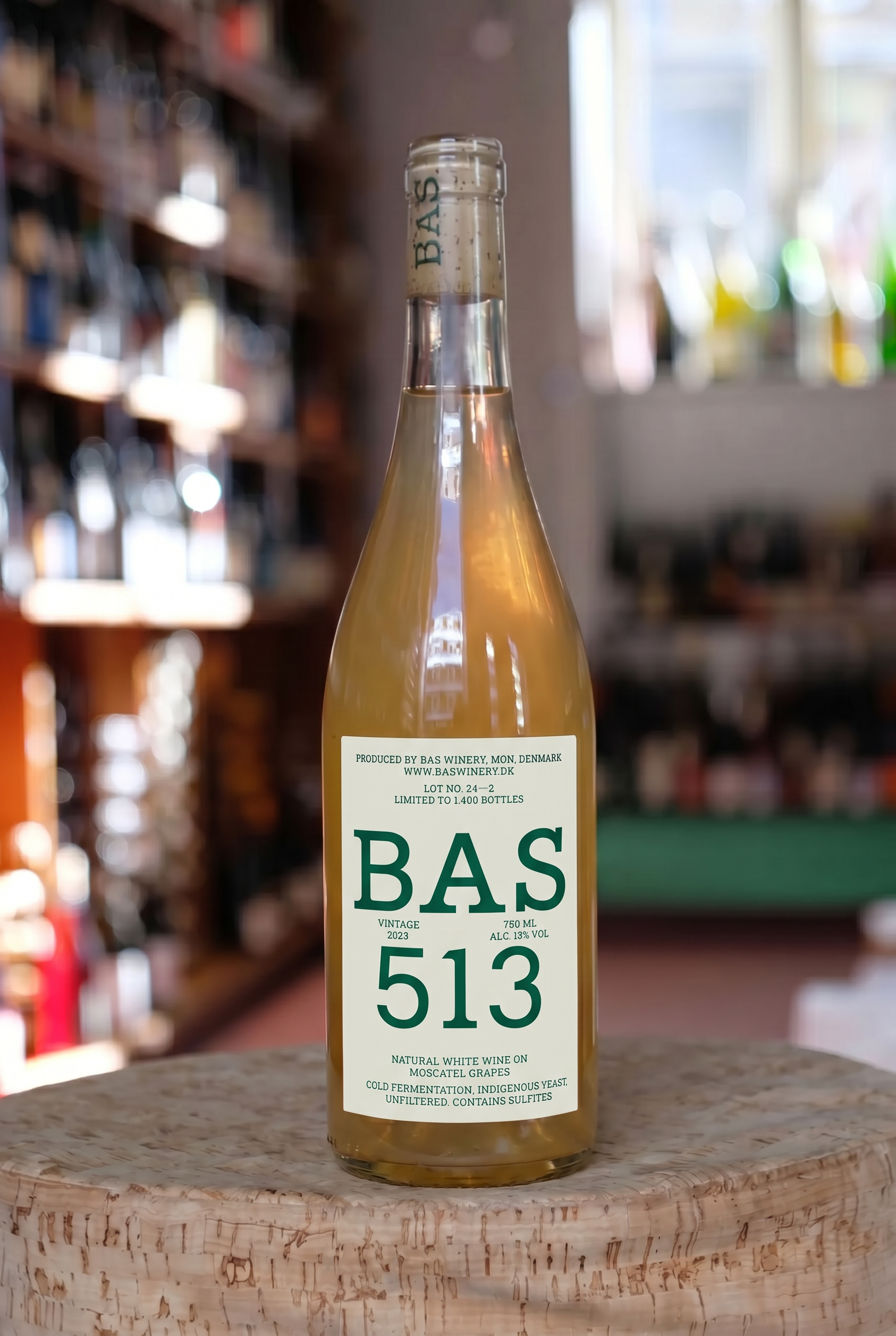 BAS513_2023.png