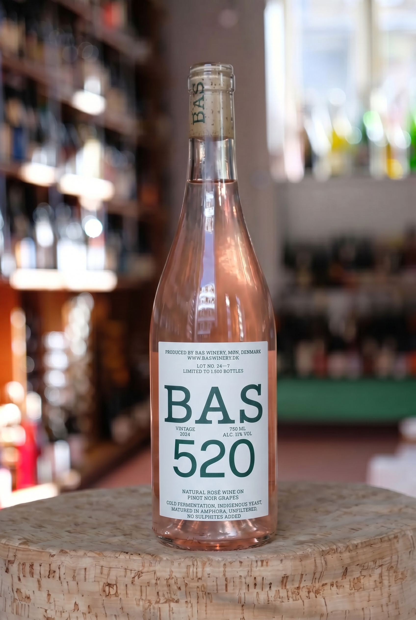 BAS 520 (2024)