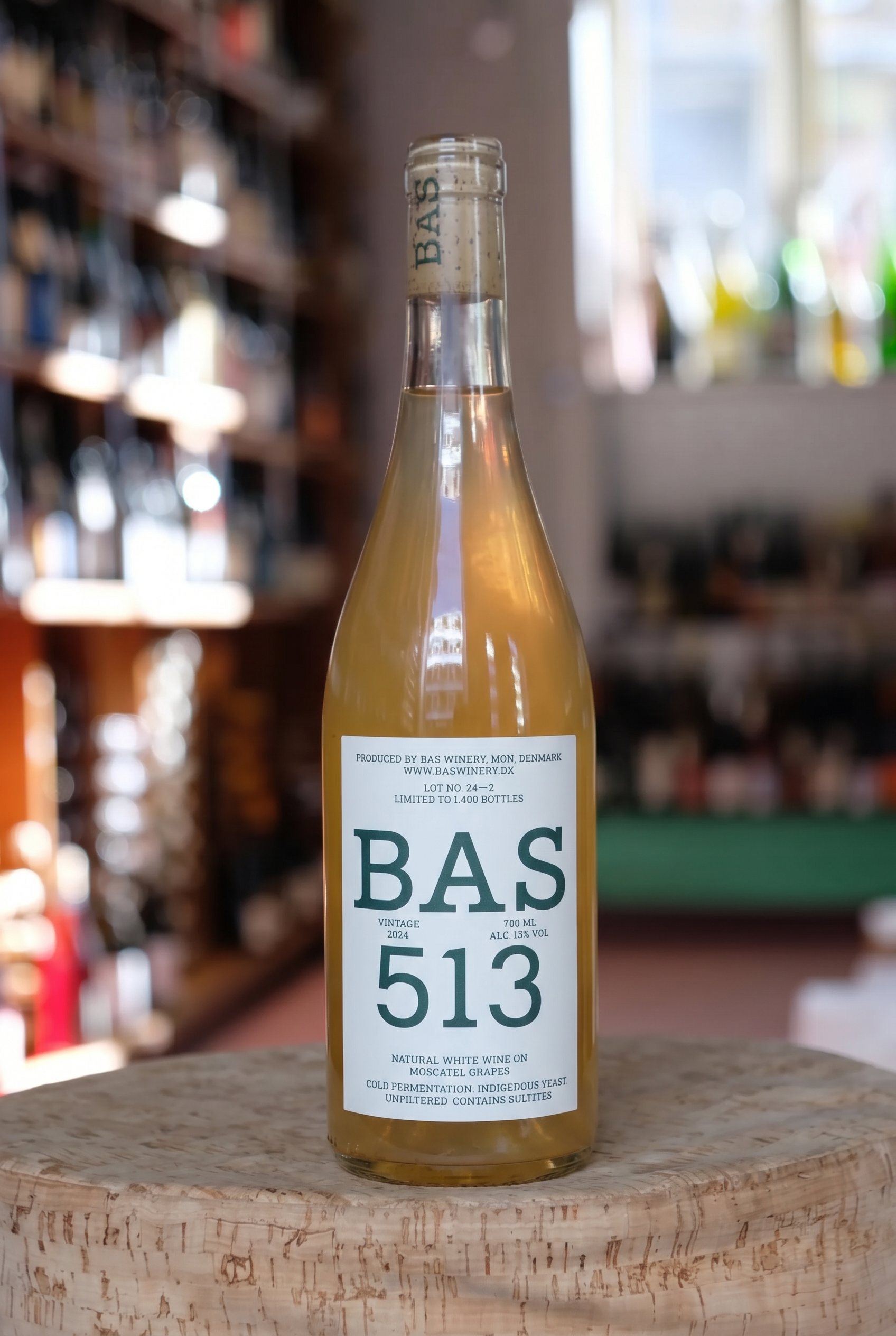 BAS513_2024.png