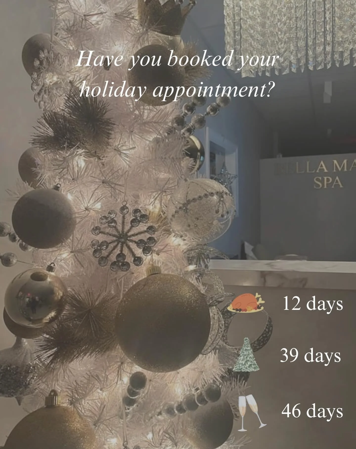 The holidays are COMINGGGGG! ✨

Don&rsquo;t wait to book your holiday appointment! Secure your skin, waxing, makeup and nail glow-up! 

CALL 781-224-0800 or TEXT 781-462-7444 to book your appointment! 

#holidayappointments #holidayseason #holidaypre