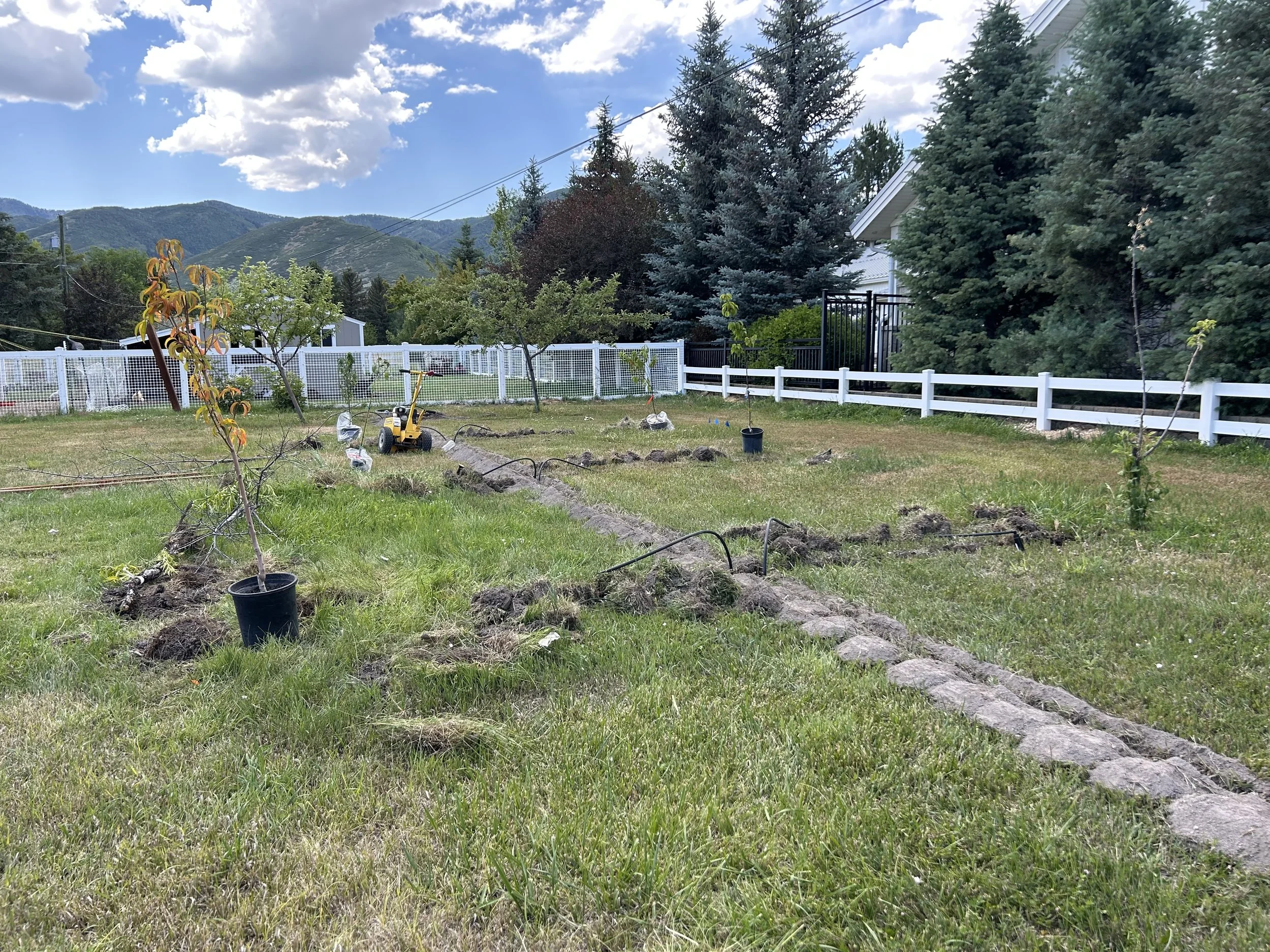 Landscaper installing a new sprinkler system in Davis County, Utah