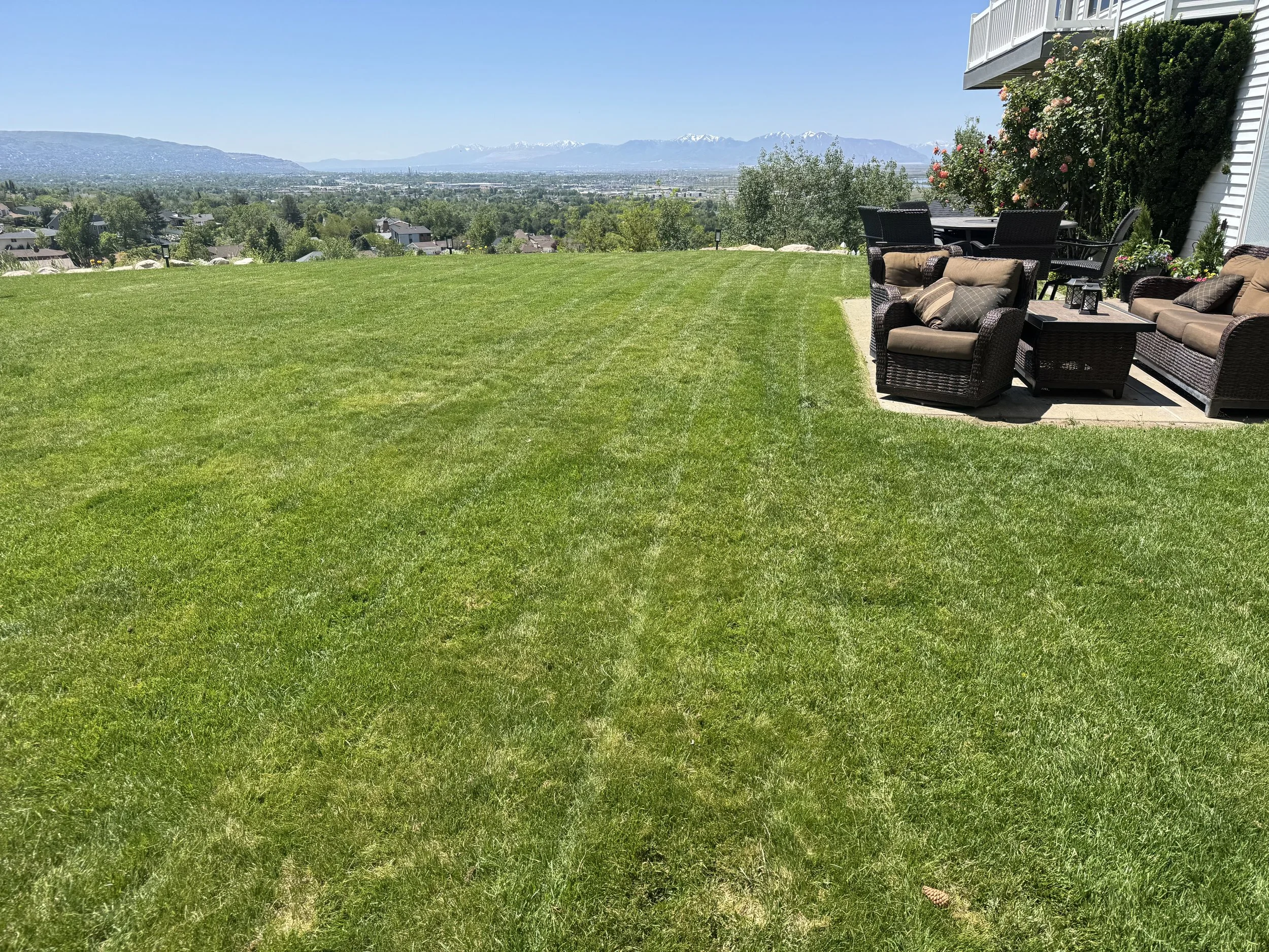 Professional lawn mowing service in Davis County, Utah
