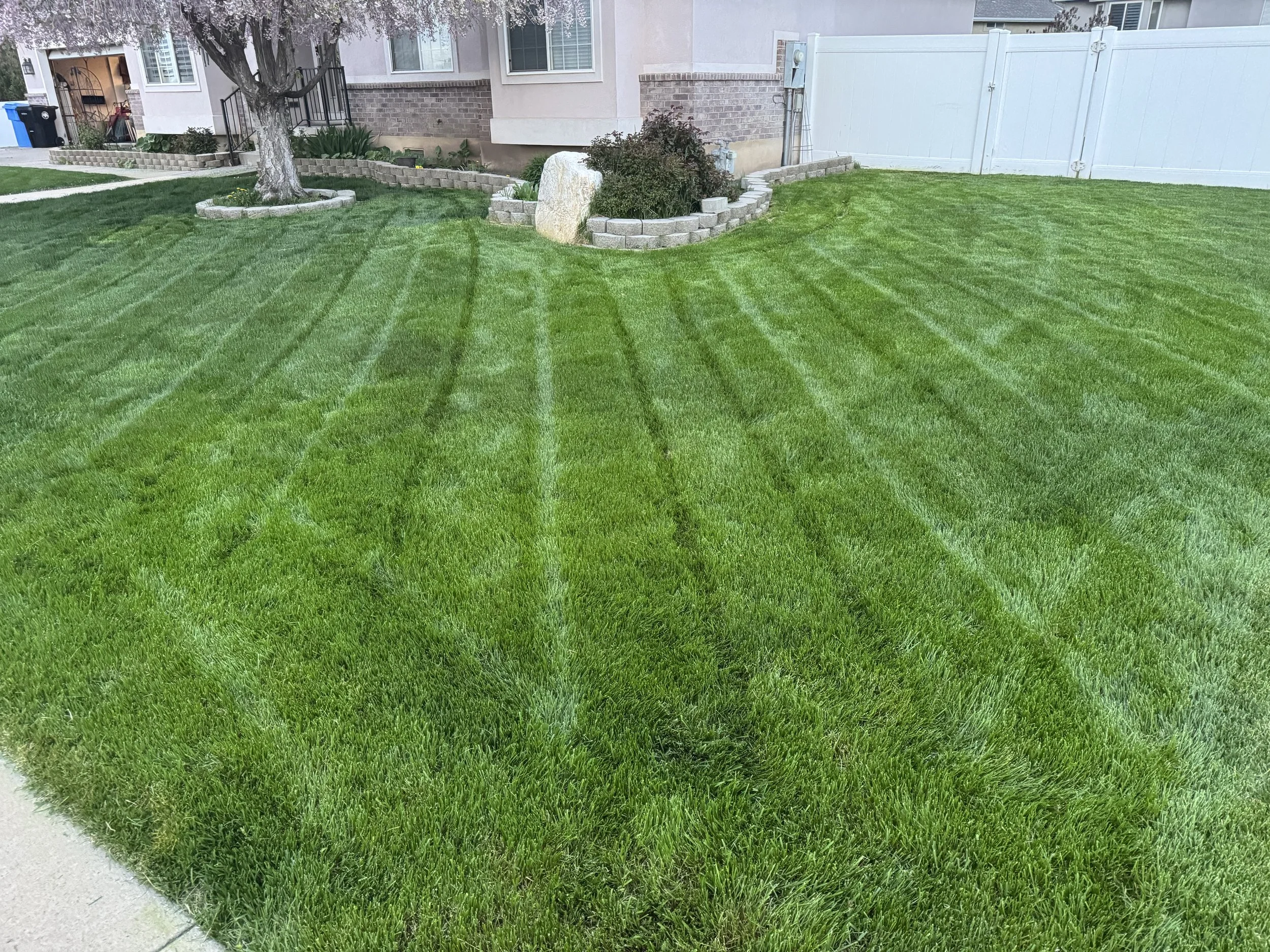 Davis County lawn care professional mowing a residential yard