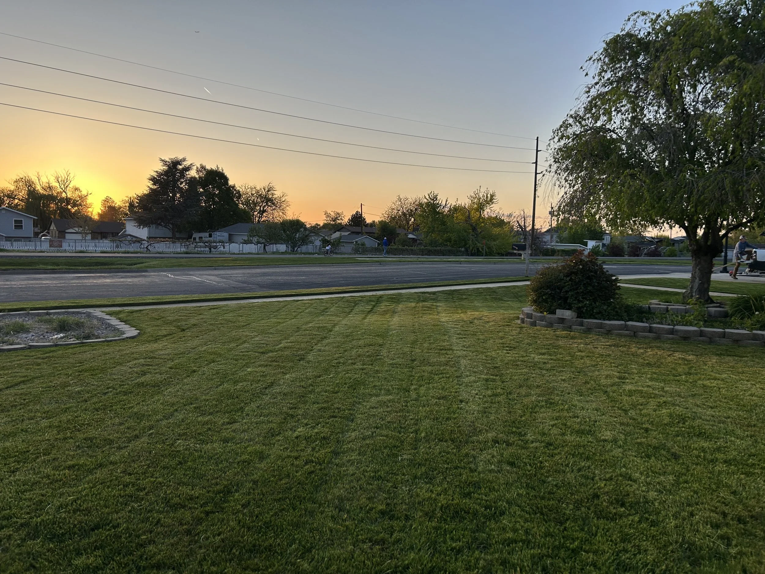 Professional weekly lawn maintenance in Davis County, Utah