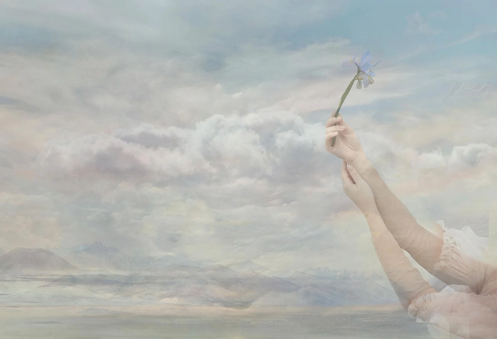 A person holding a flower against a cloudy sky and mountain landscape background.