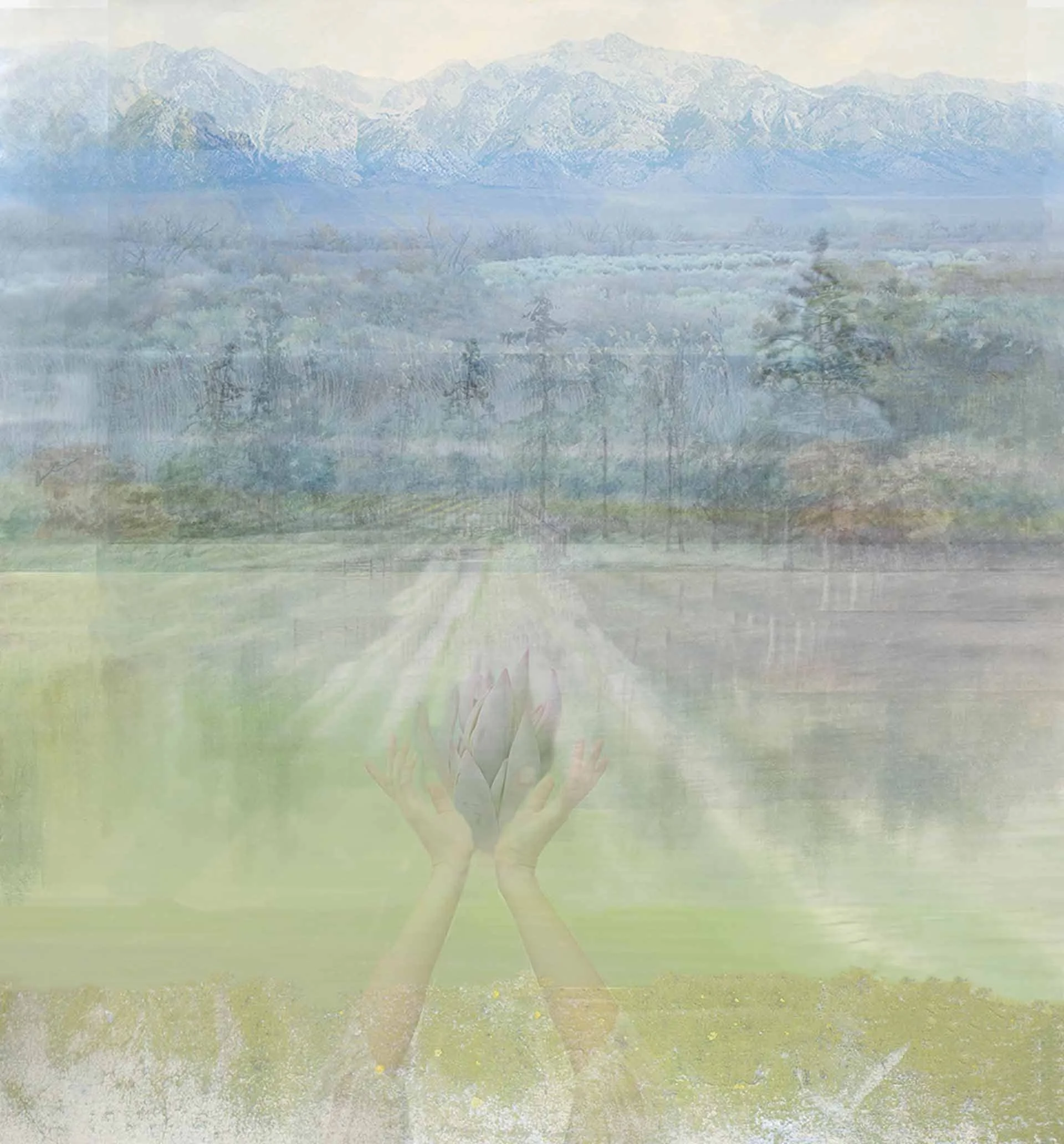 A double exposure image featuring a scenic mountain landscape with snow-capped peaks, open fields, and trees, overlaid with hands holding a lotus flower.