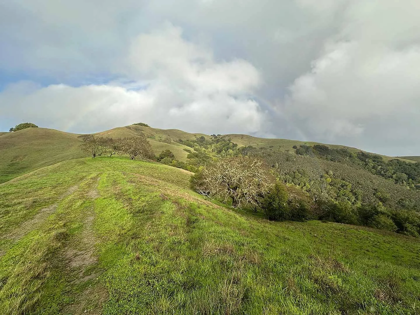 A scenic view of rolling green hills with patches of trees and a cloudy sky, showing a faint rainbow.
