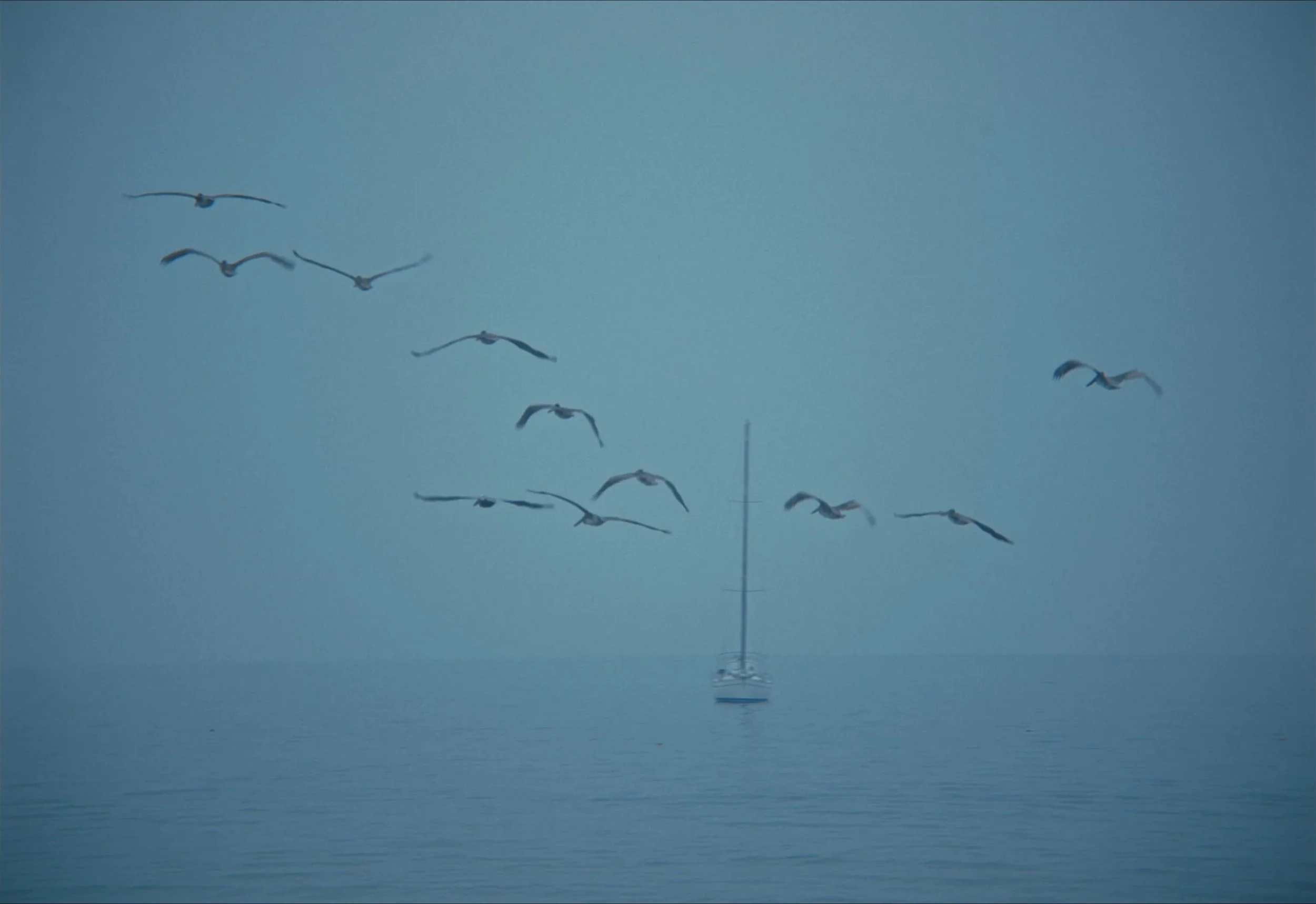 Still 2026-03-02 095822_1.1.1.jpg