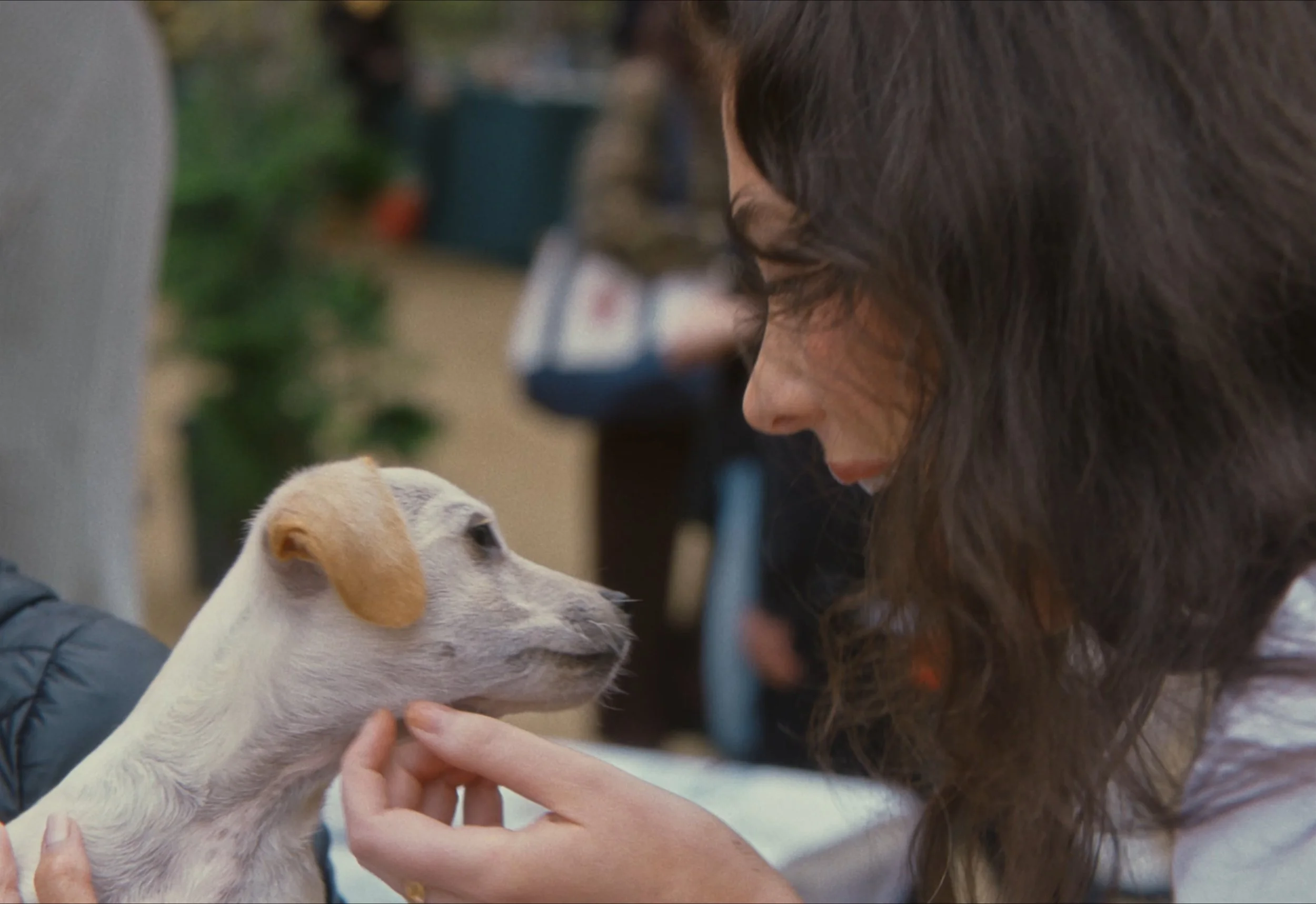 Still 2026-03-02 095822_1.1.6.jpg