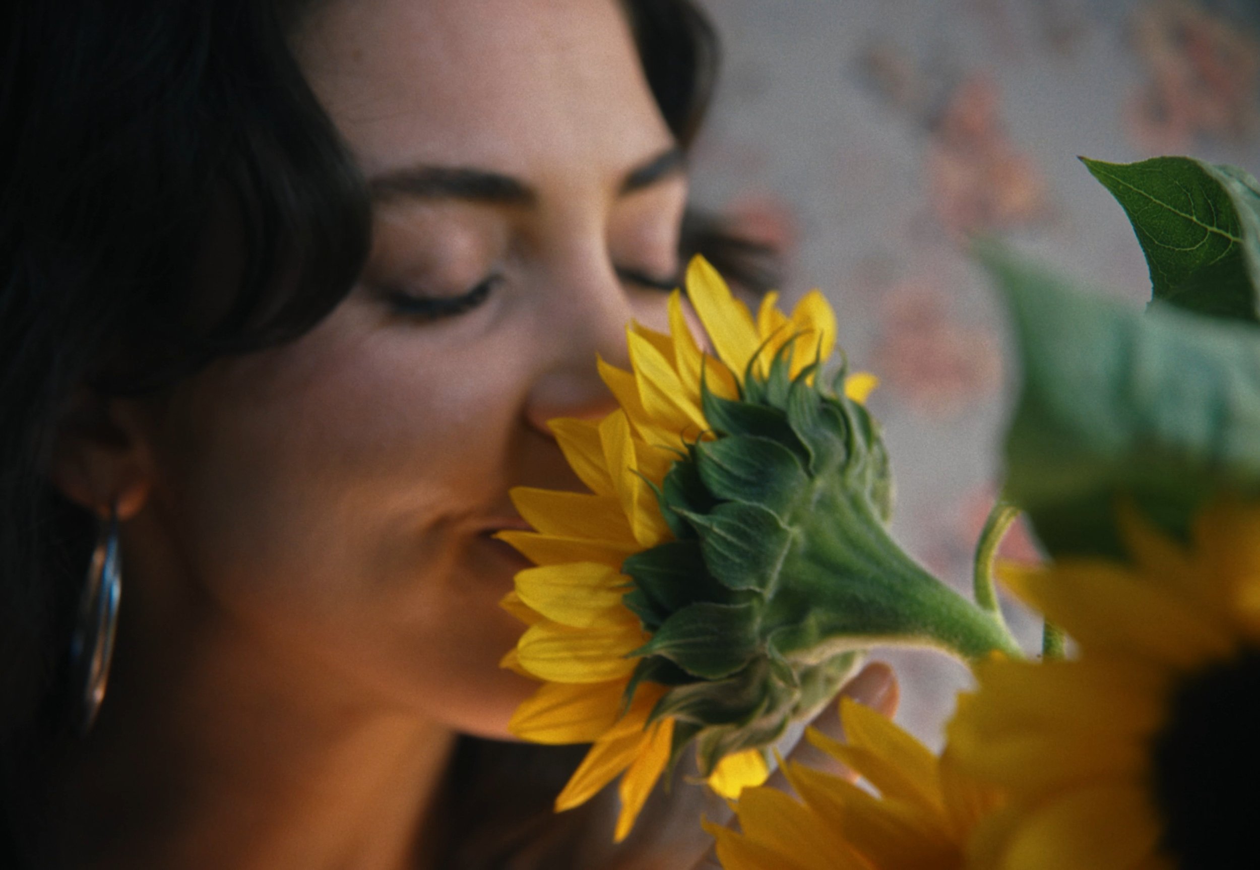 Still 2026-03-02 095822_1.1.8-2.jpg