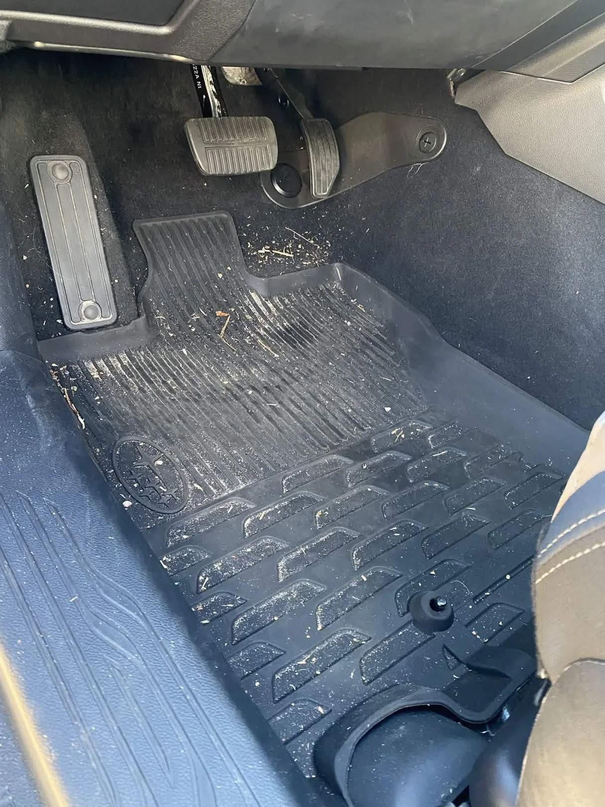 dirty outback before.jpg