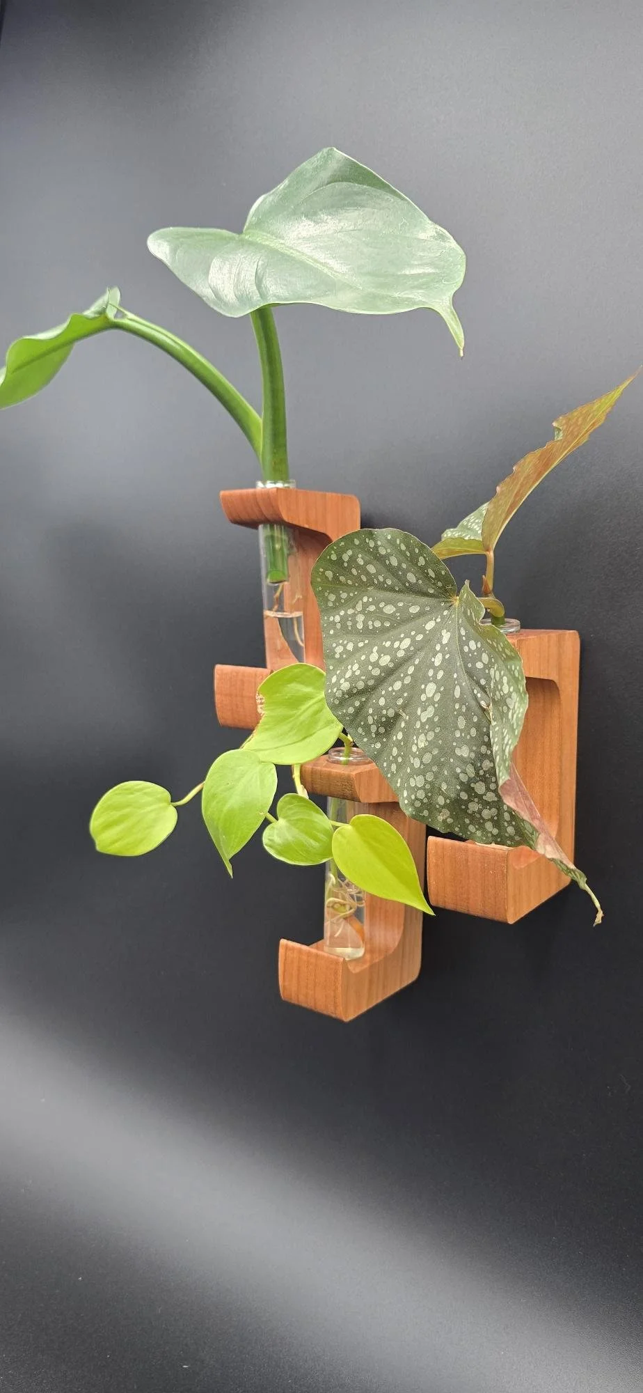 Magnetic Propagation Station Starter Gift Set