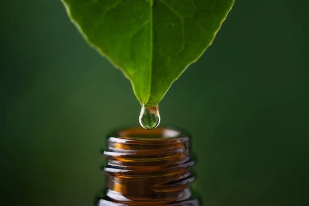 Natural plant-based extracts used in liquid fat burning supplements