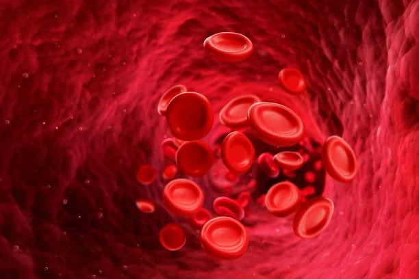 Healthy blood circulation through blood vessels supporting oxygen delivery