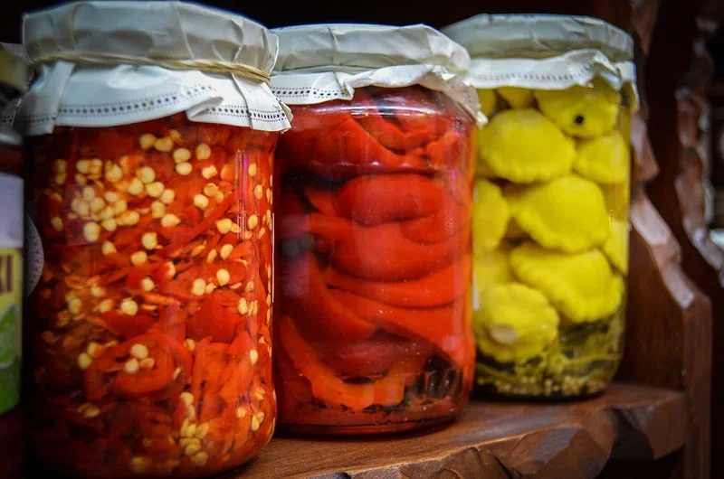 Fermented foods used for preservation and long-term nutrition