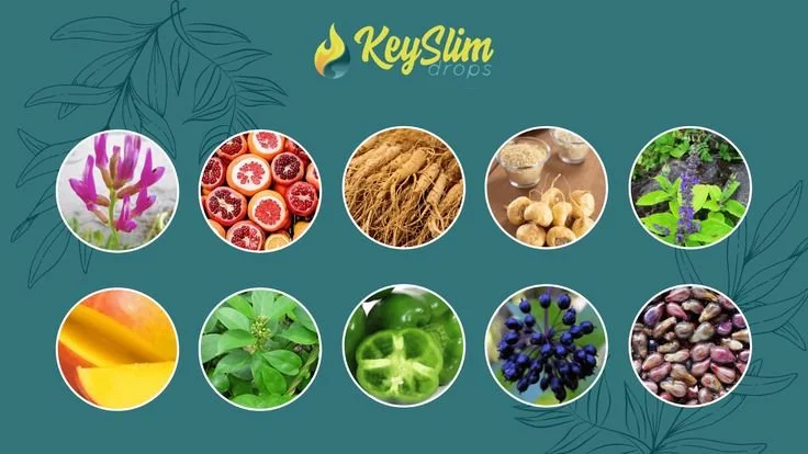 KeySlim Drops bottle displayed on a clean background, representing a natural metabolism-boosting and appetite-support supplement.