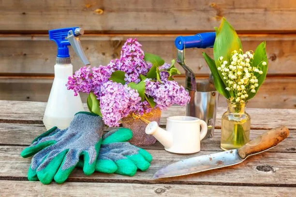 Beginner-friendly gardening setup for growing medicinal herbs at home