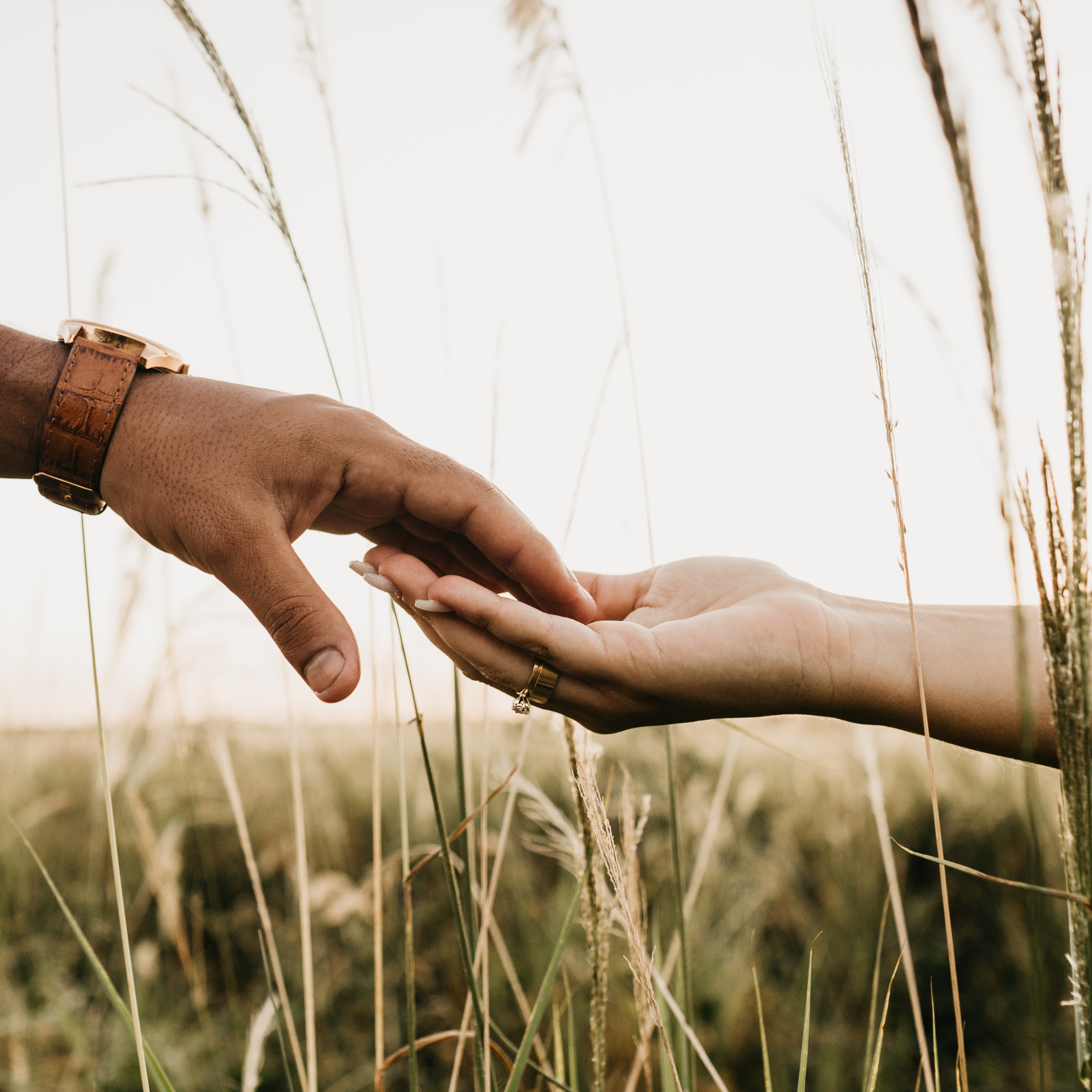 Two hands reaching out to touch each other over tall grasses in a natural outdoor setting.