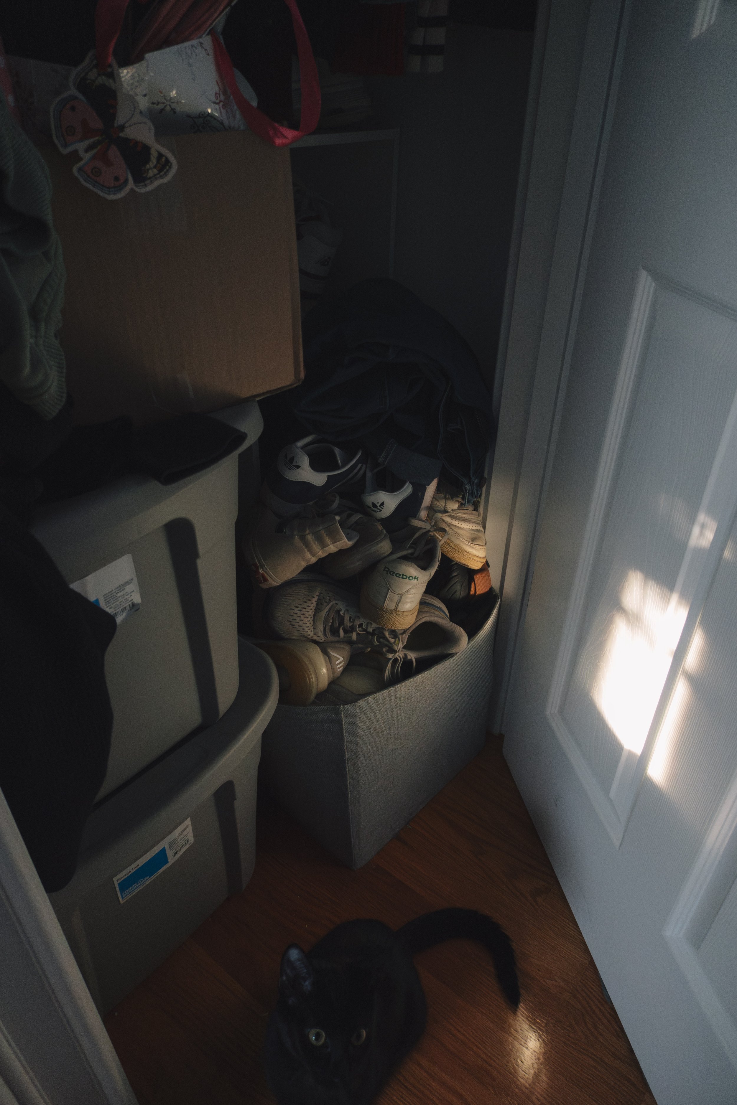 anintimateperformance49.jpeg