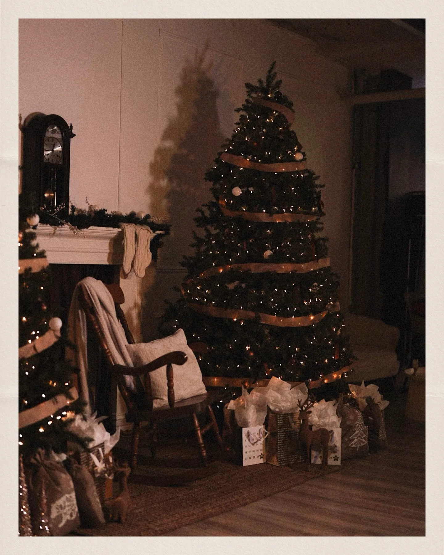 Happy New Year from Maison Lior 🎈

From the bottom of our hearts, thank you to everyone who walked into our studio, trusted us, and made this year so special.

2025 was an unforgettable year, not only because of the projects we created, but because 