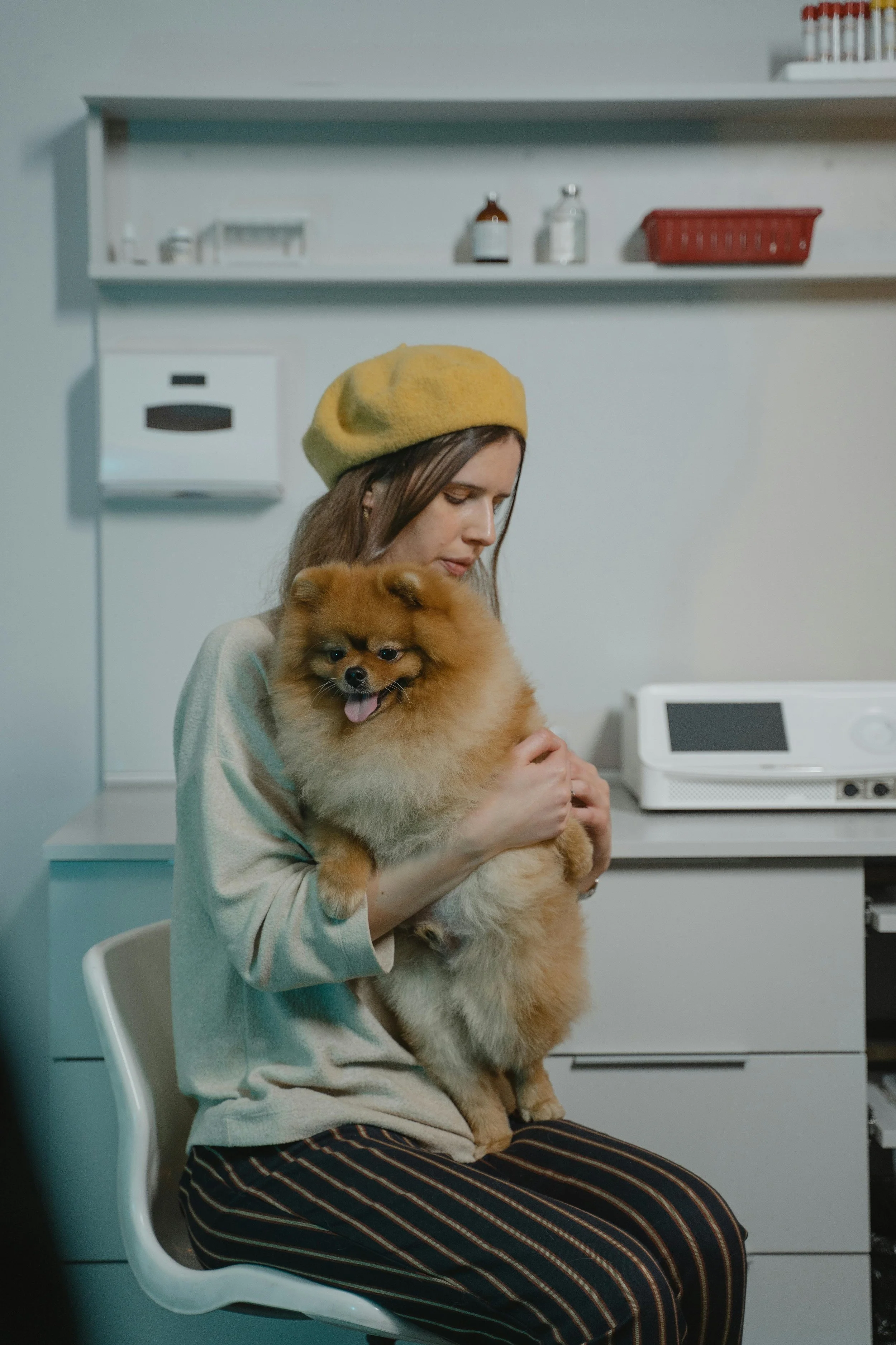Dr Judy Morgan's Natural Healthy Pets