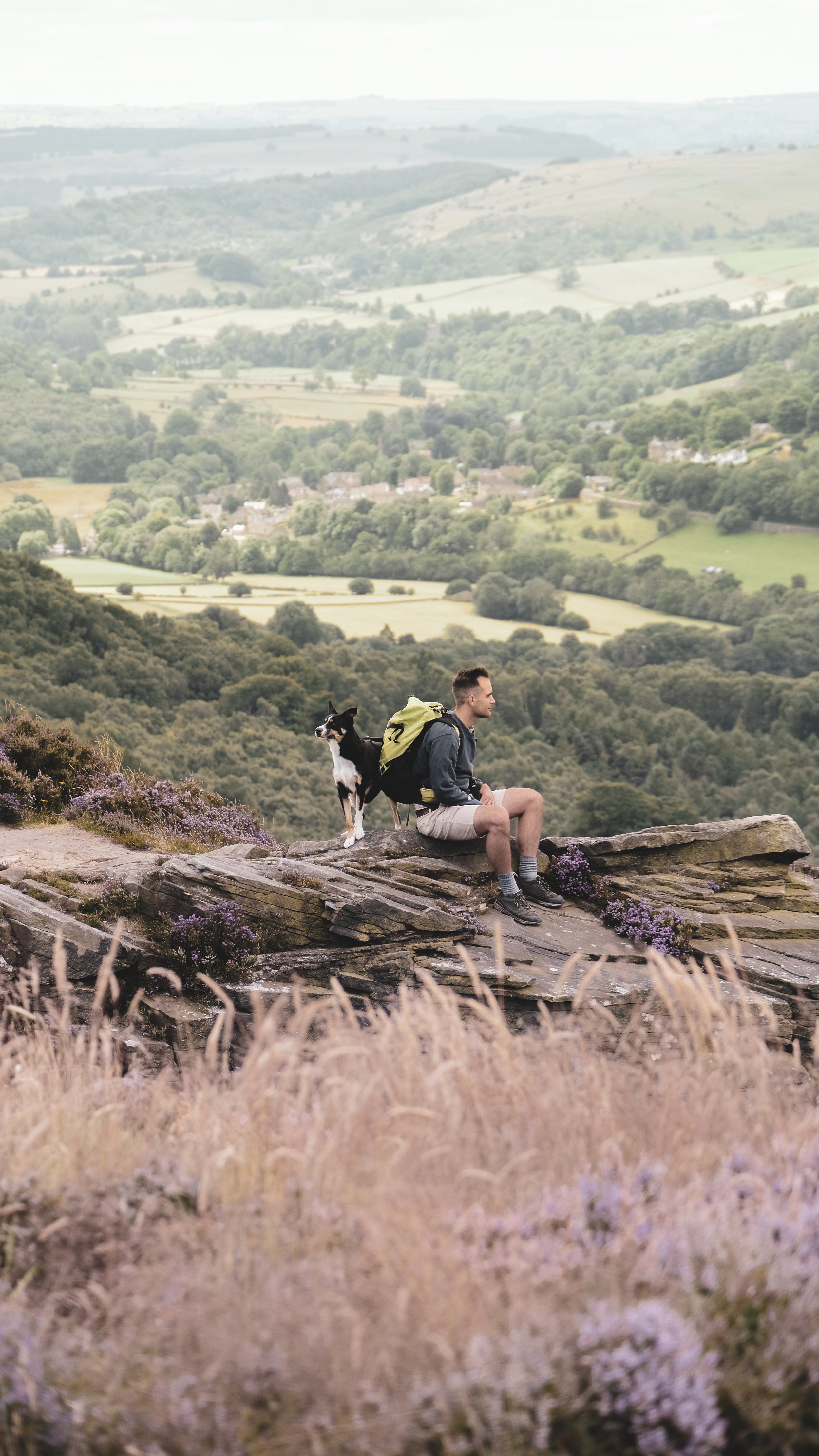 A young man with a dog sitting on a rocky ledge surrounded by purple flowers, overlooking a lush green valley with rolling hills and a cloudy sky.