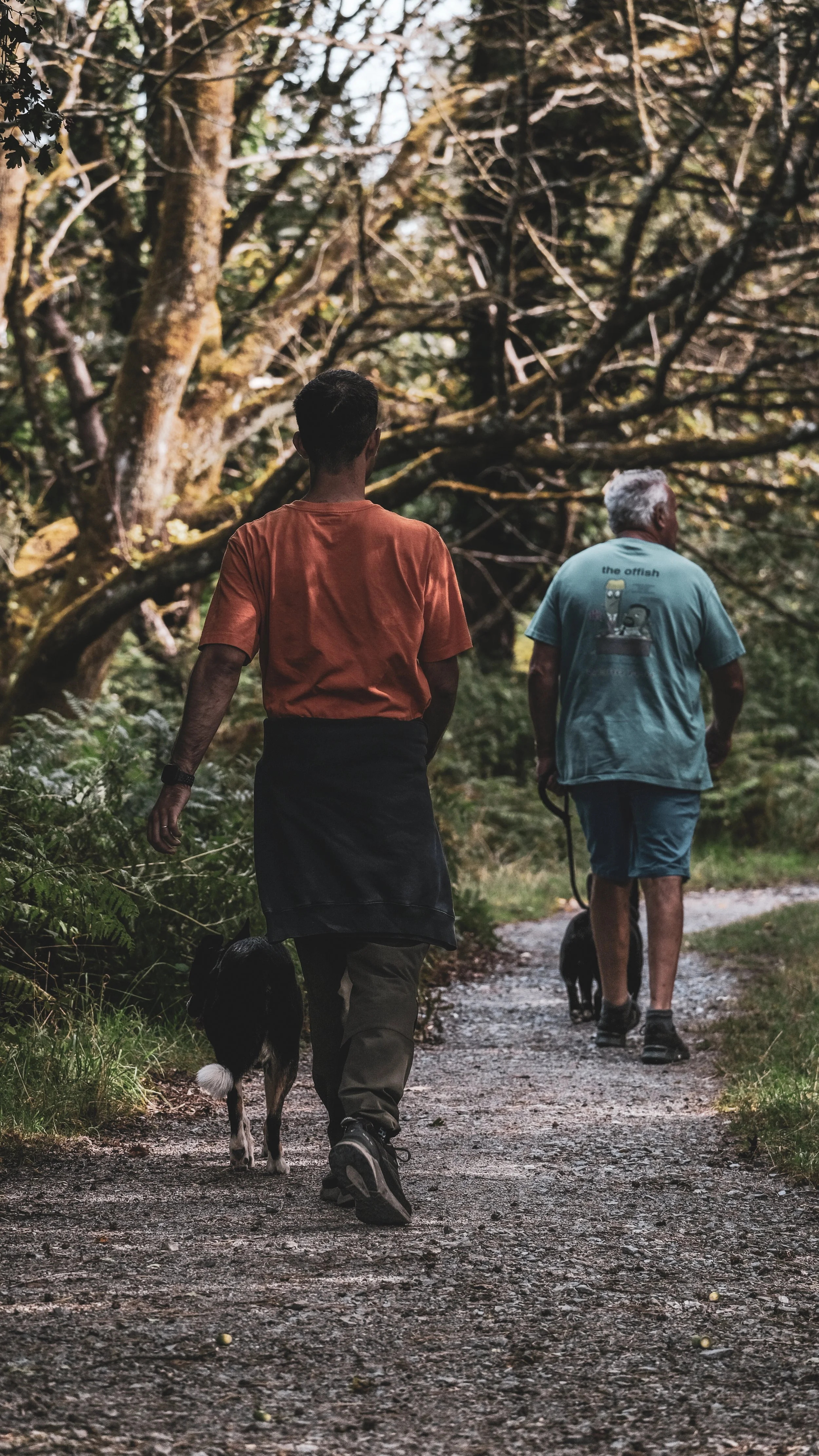 Two men walking on a dirt trail through a forest, each with a dog on a leash.