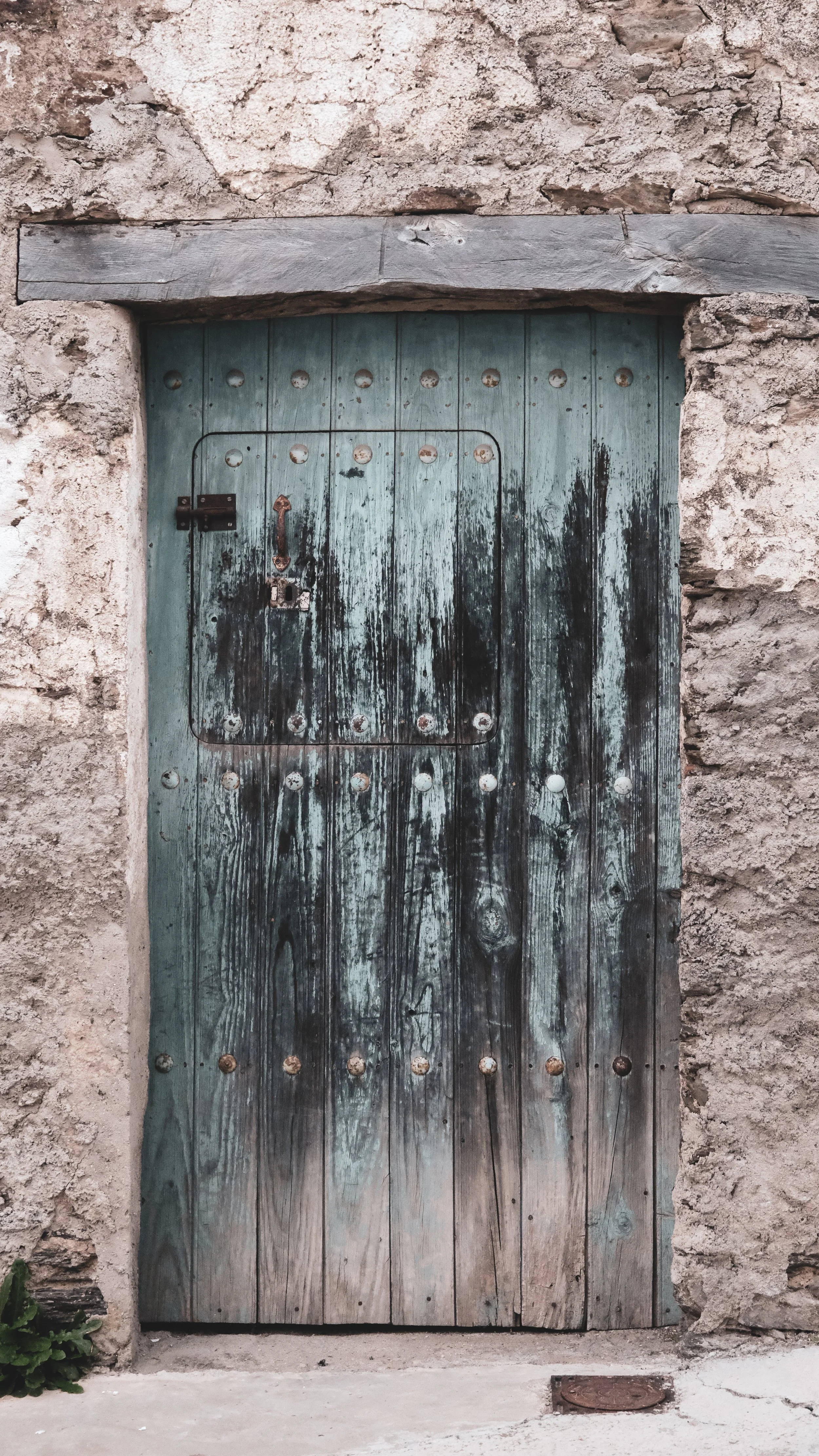 Weathered old wooden door with black stains, set in rough stone wall, with small gray plant at bottom left, and a rusty metal plate at bottom right.