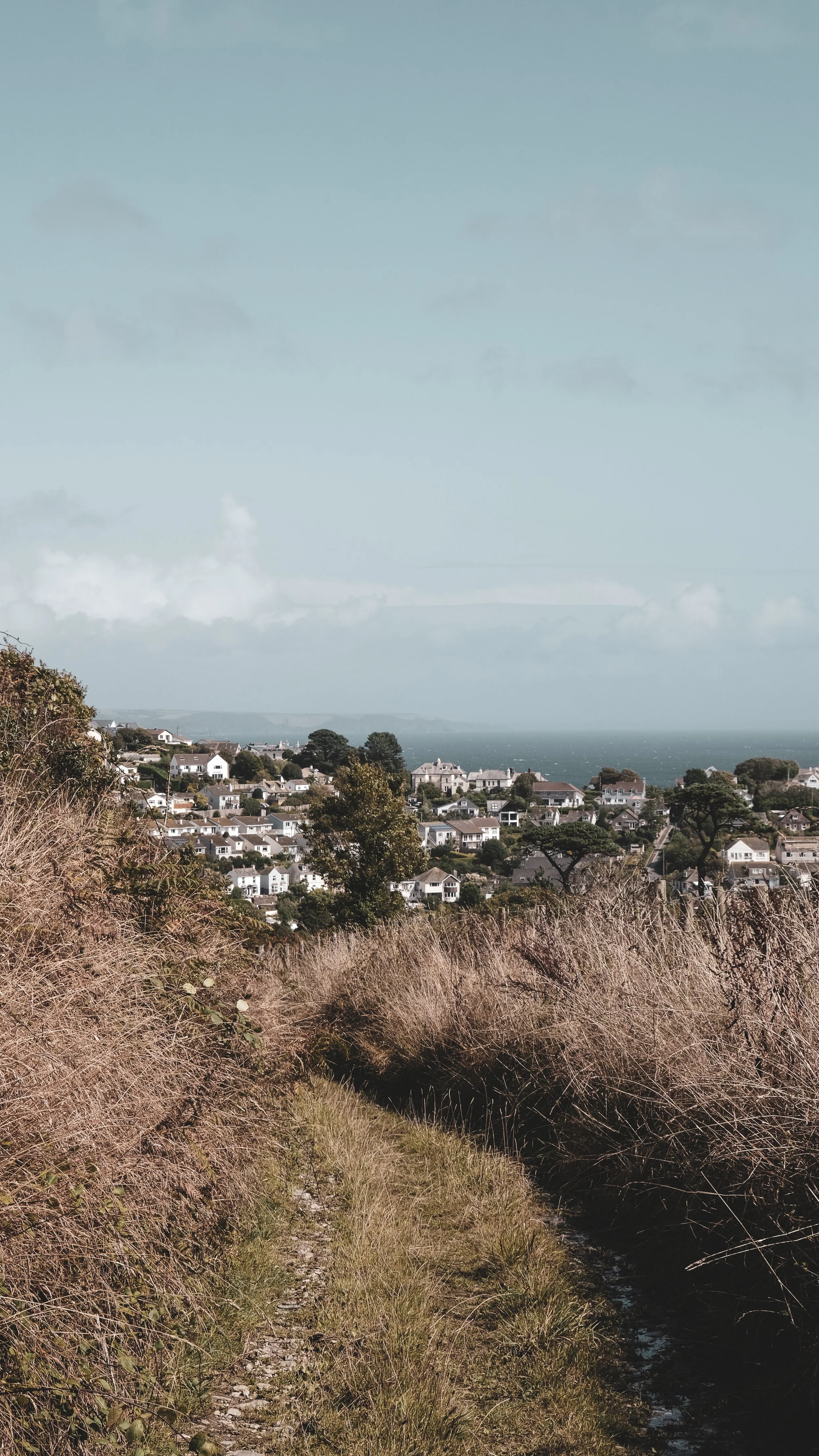 A view of a coastal town with white houses situated on a hillside, seen from a grassy trail lined with dry bushes, overlooking the ocean under a partly cloudy sky.