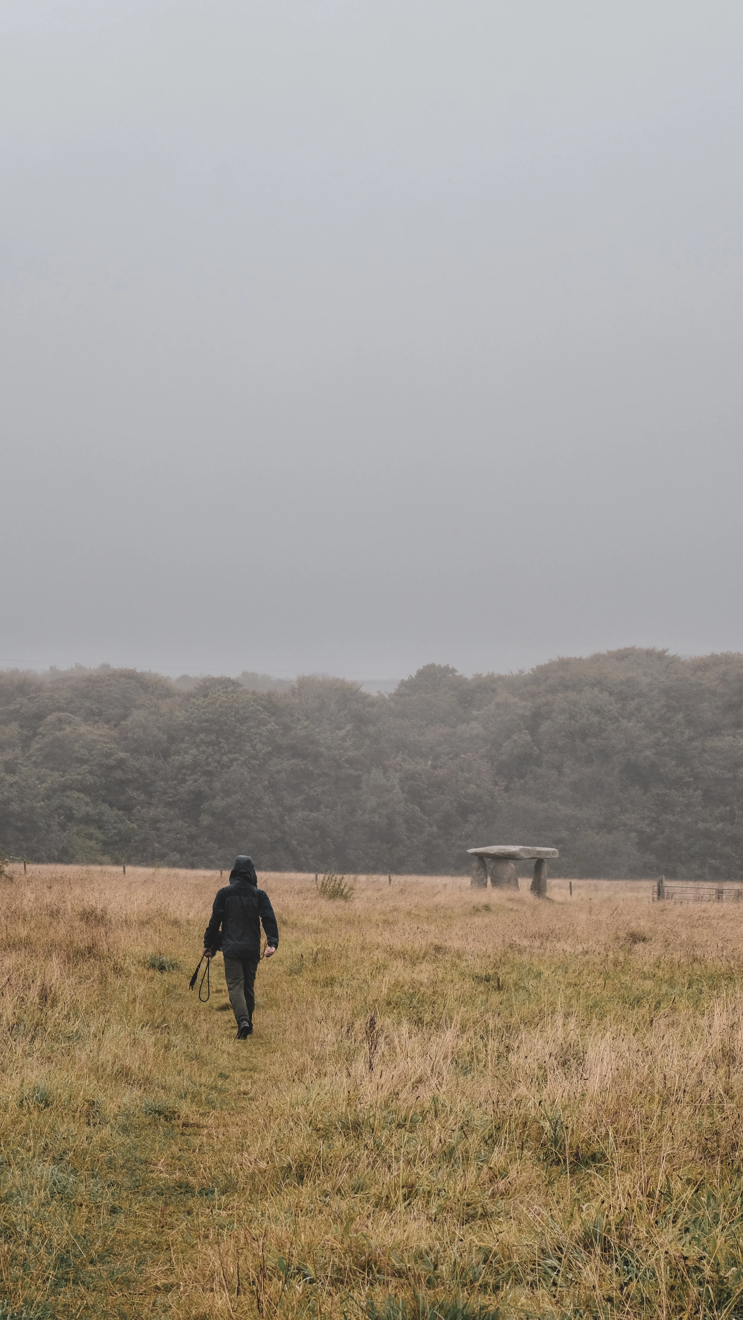 A person walking along a dirt trail in a forest with tall trees and ferns.