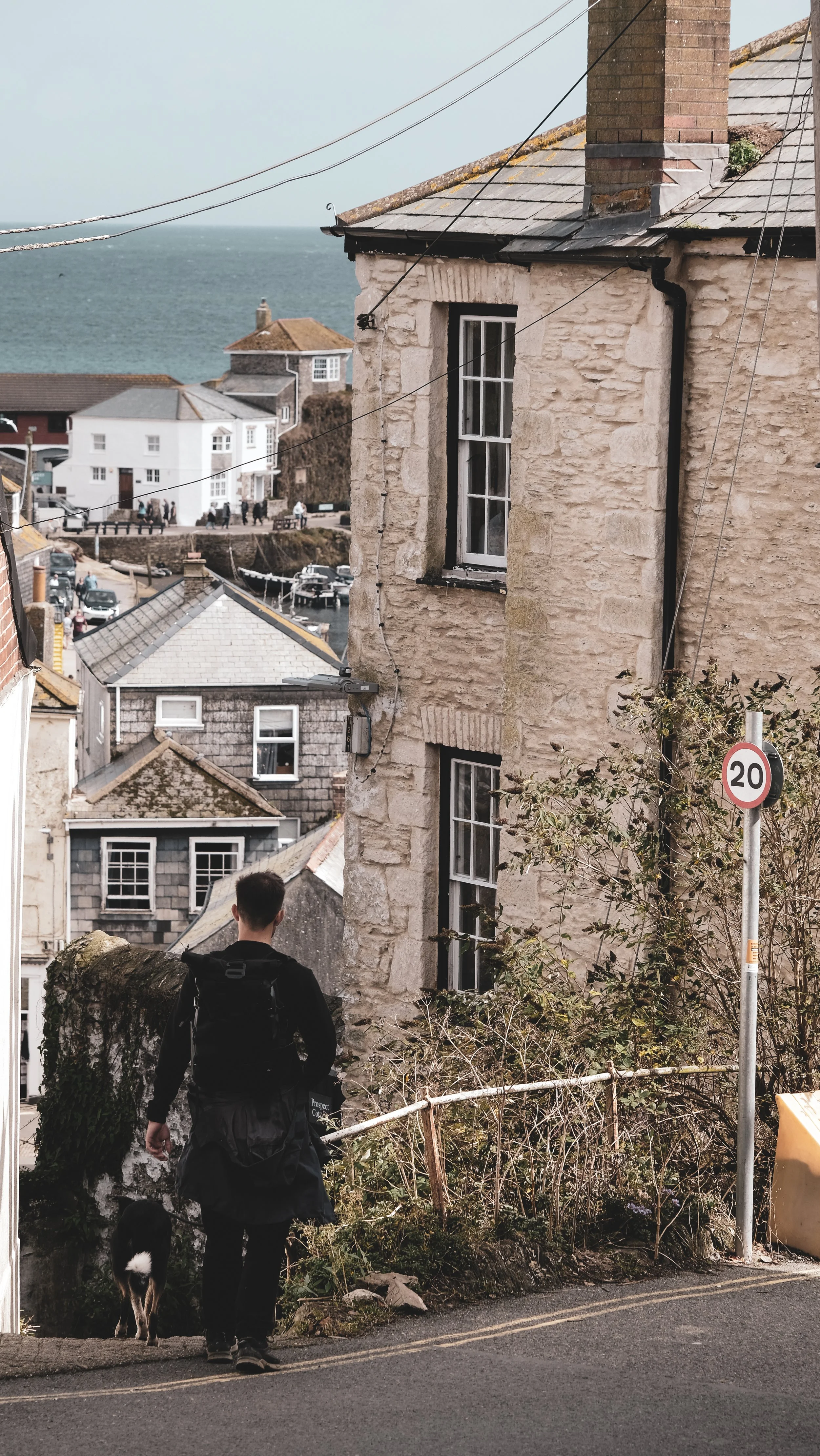 A man walking his dog on a hilly street in a coastal town with stone and wood houses, a speed limit sign of 20, and the ocean visible in the background.