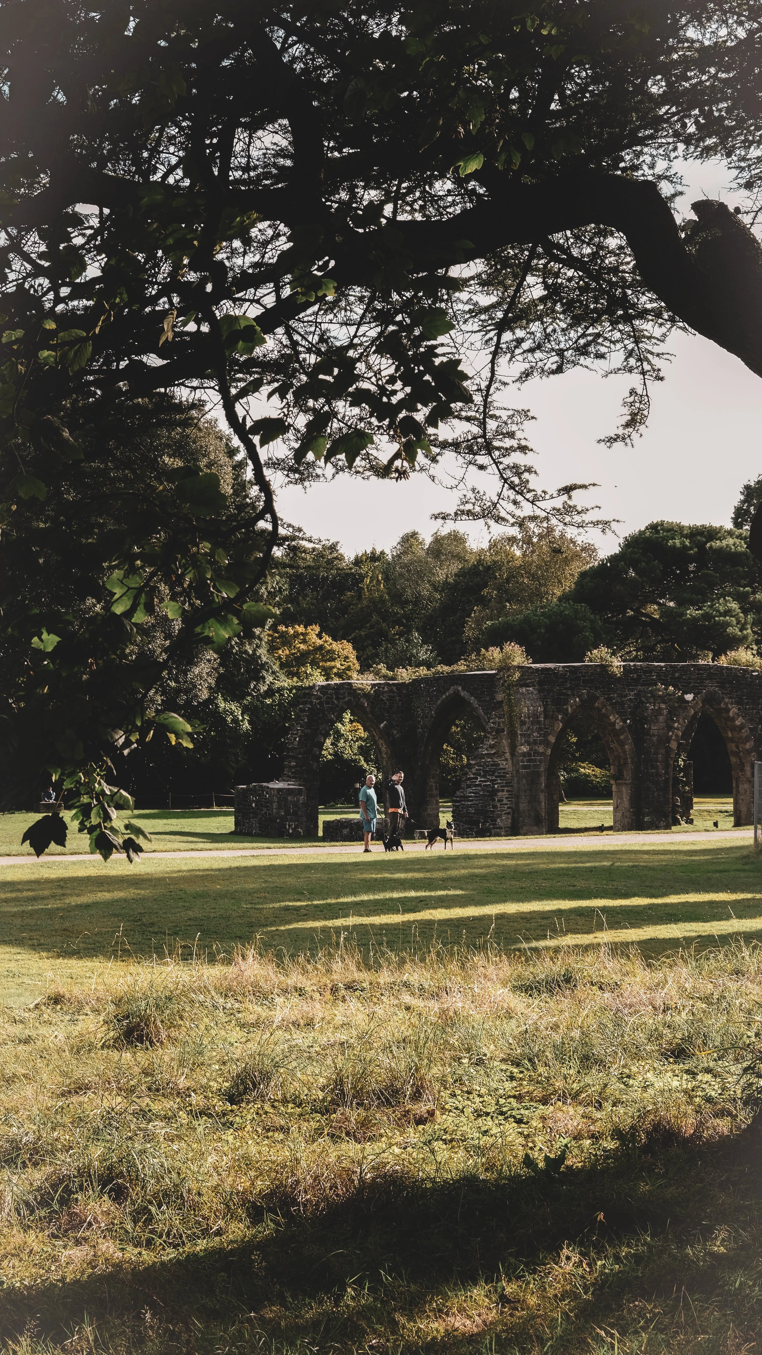 People walking dogs in front of historic stone arches in a park with grassy area and trees.