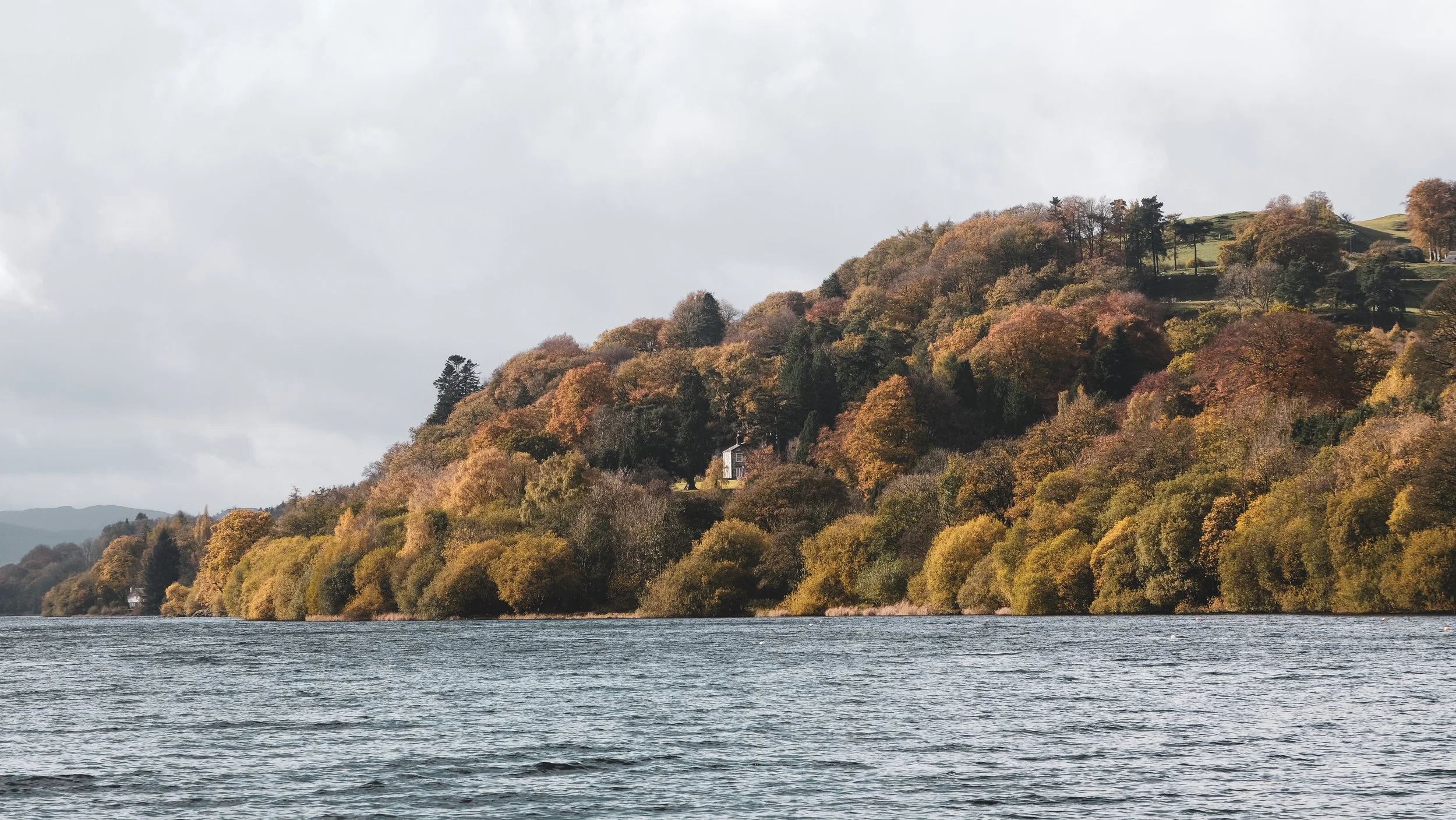 A hillside covered with autumn-colored trees next to a body of water, with cloudy sky overhead.