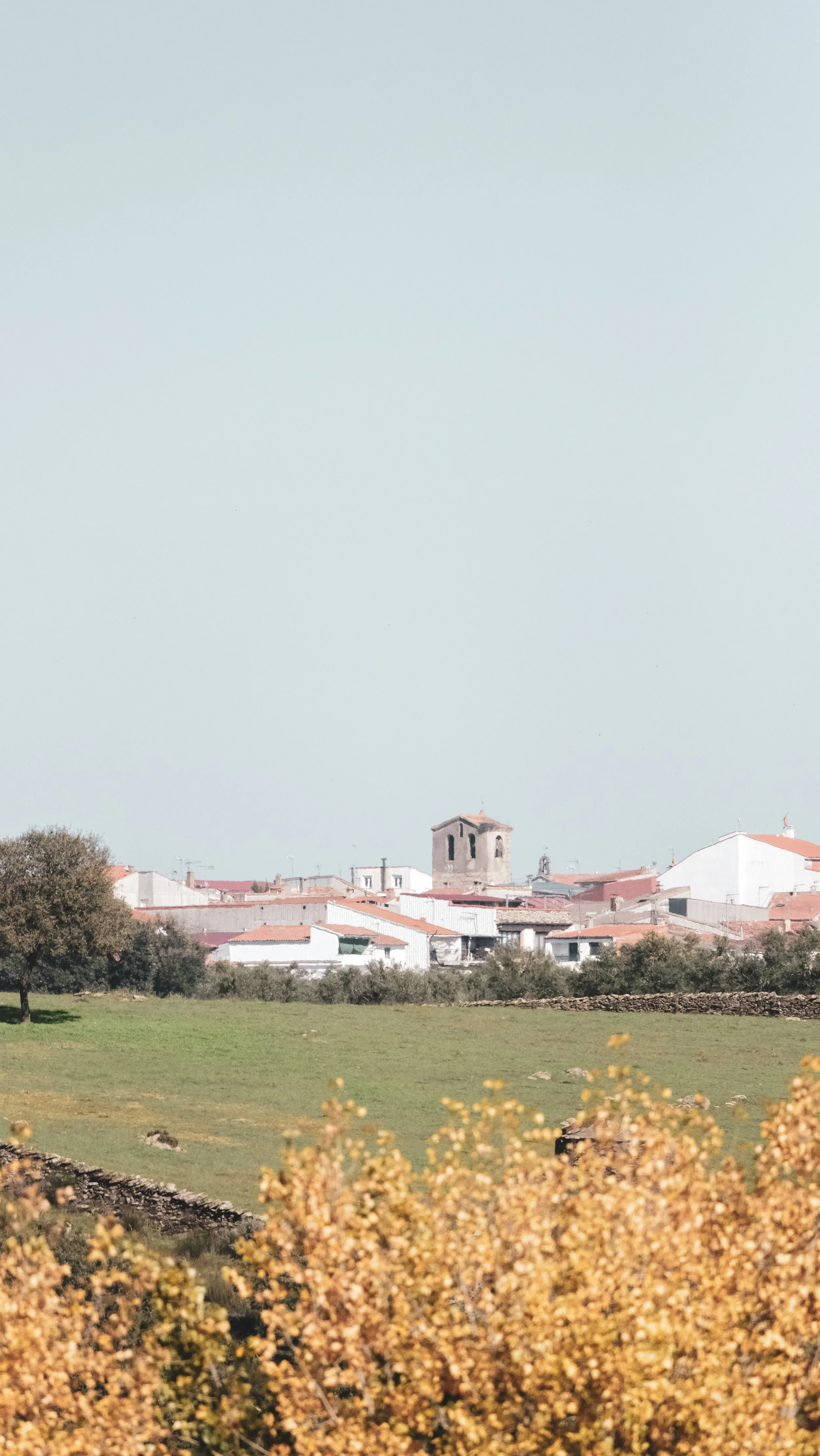 View of a small town with white buildings and red roofs, a historic church tower, and trees in the foreground under a light blue sky.