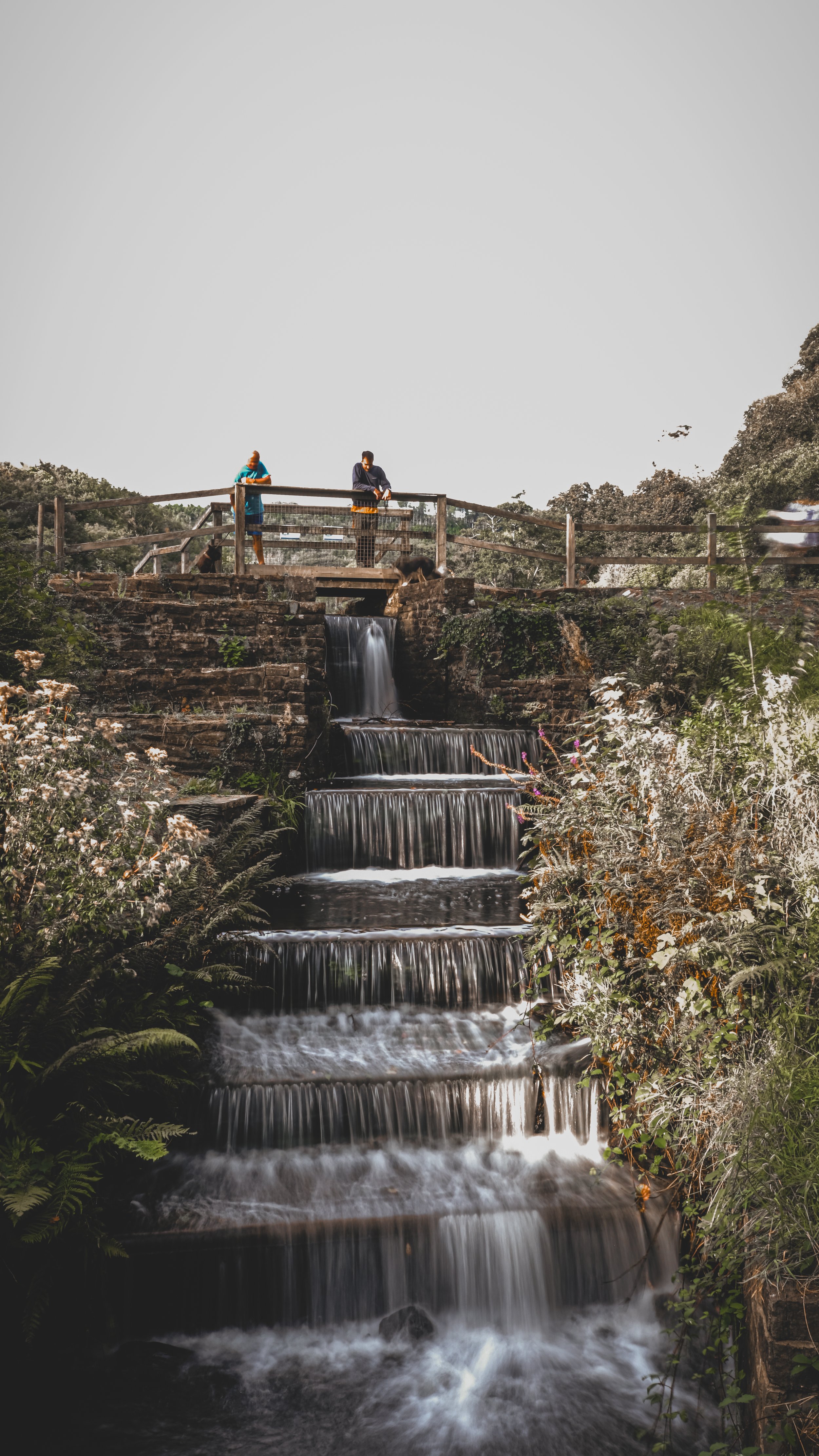 Three people standing on a wooden bridge over a cascading waterfall, surrounded by lush greenery and bushes.