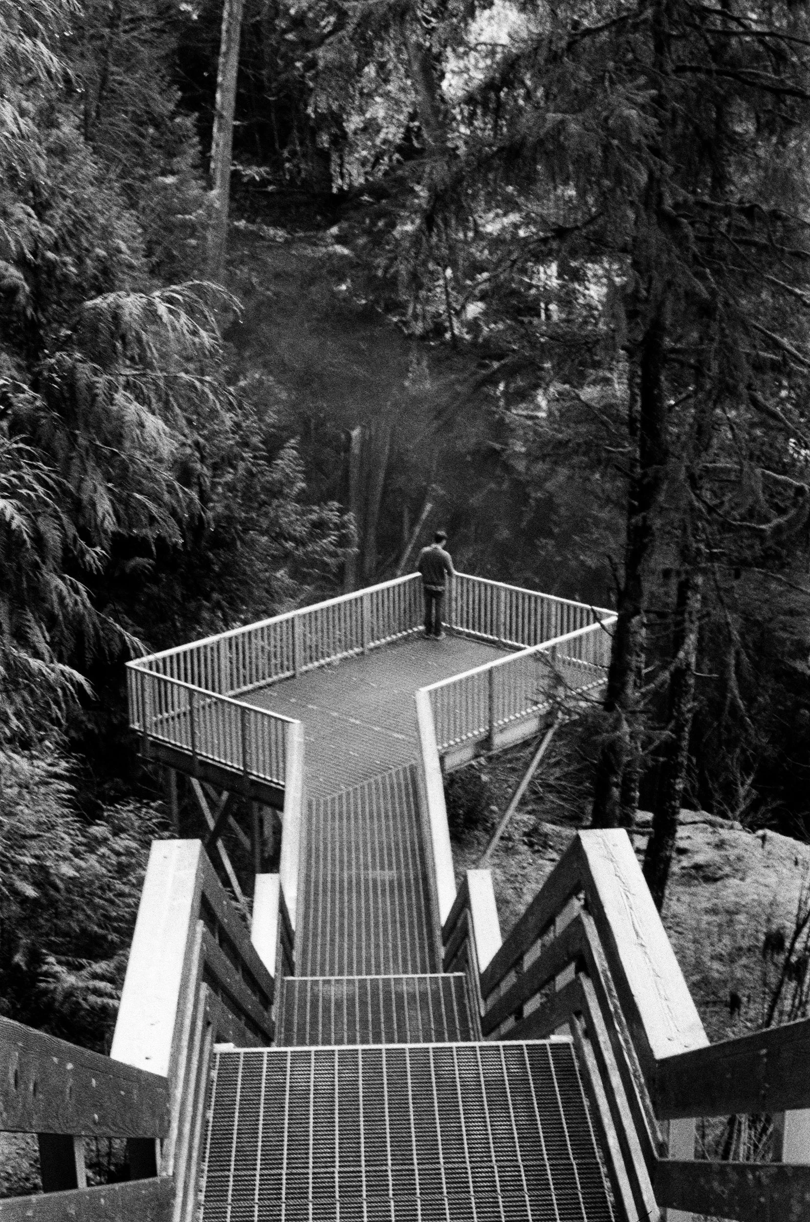 A person standing on a wooden observation deck overlooking a forested landscape.