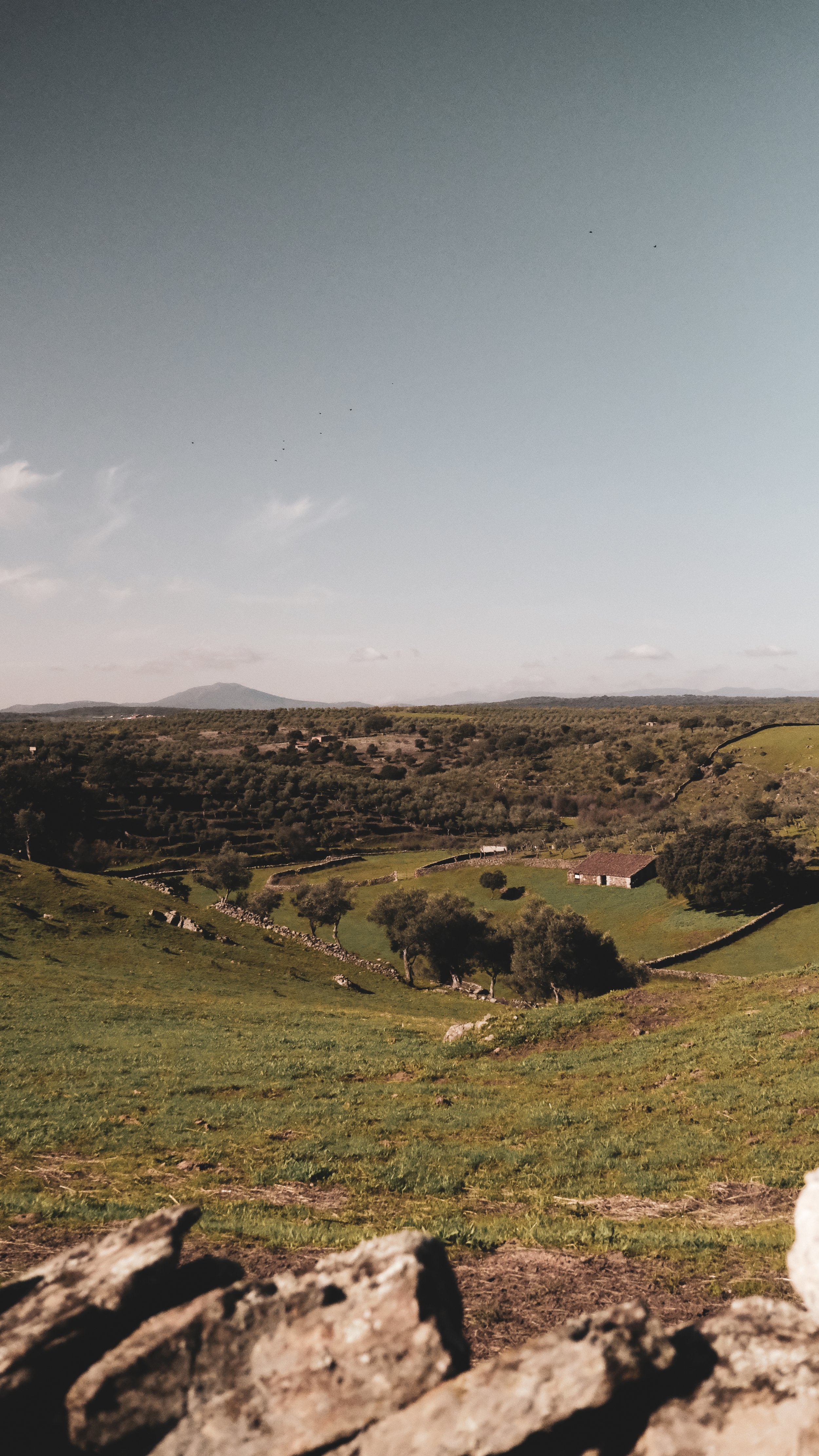 Wide view of a green, hilly landscape with scattered trees, a small building, and distant mountains under a clouded sky.