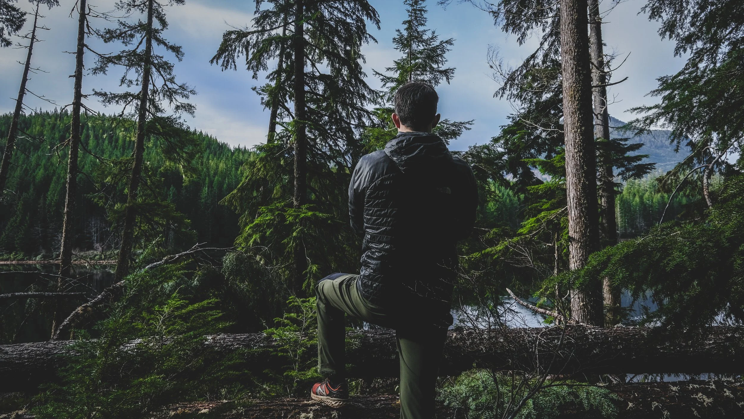 A person standing on a fallen tree trunk, looking out at a forested mountainside with tall pine trees and a partly cloudy sky.