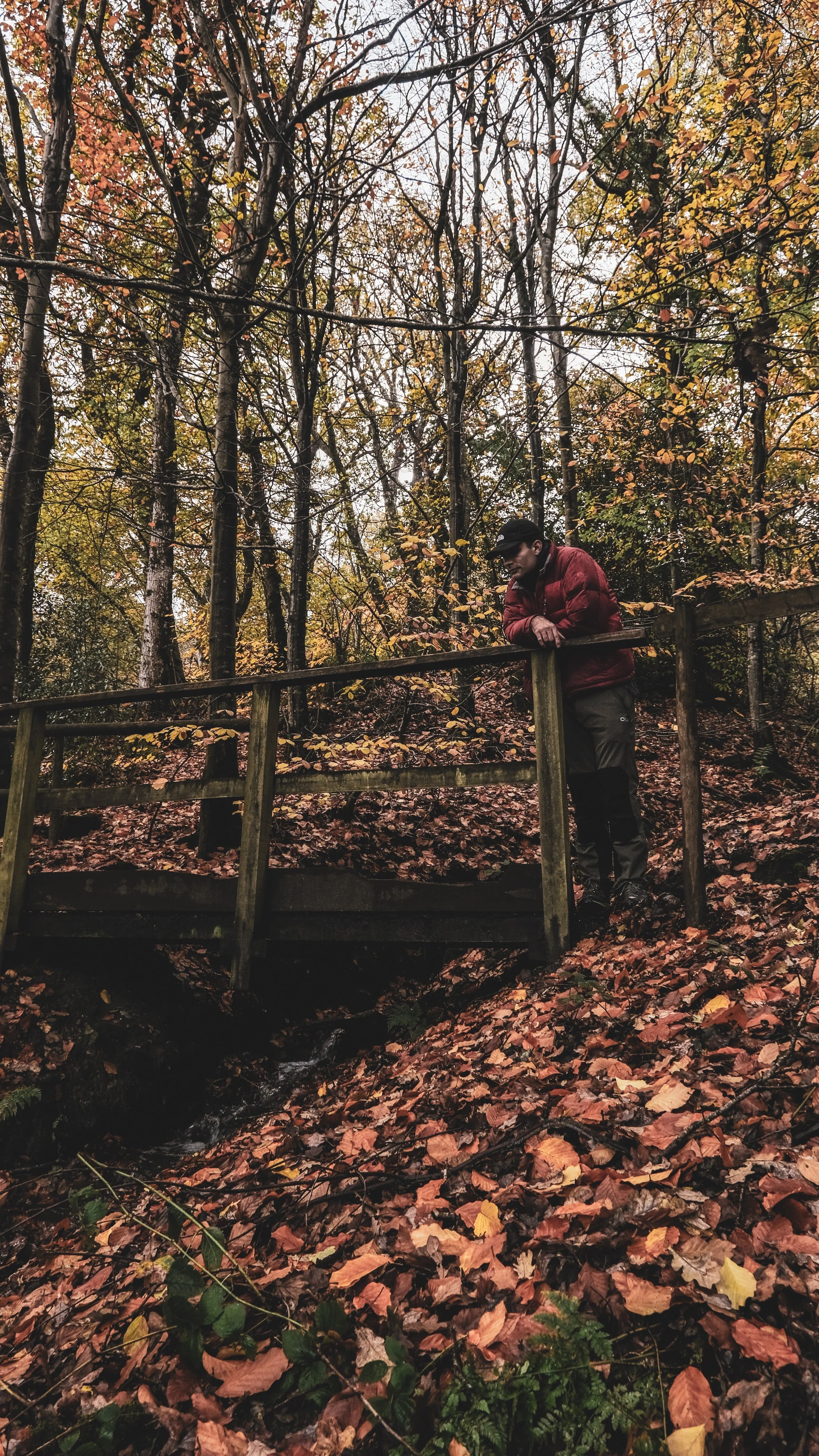 A person in a red jacket and black cap leaning on a wooden railing on a forest trail during fall, surrounded by colorful fallen leaves.