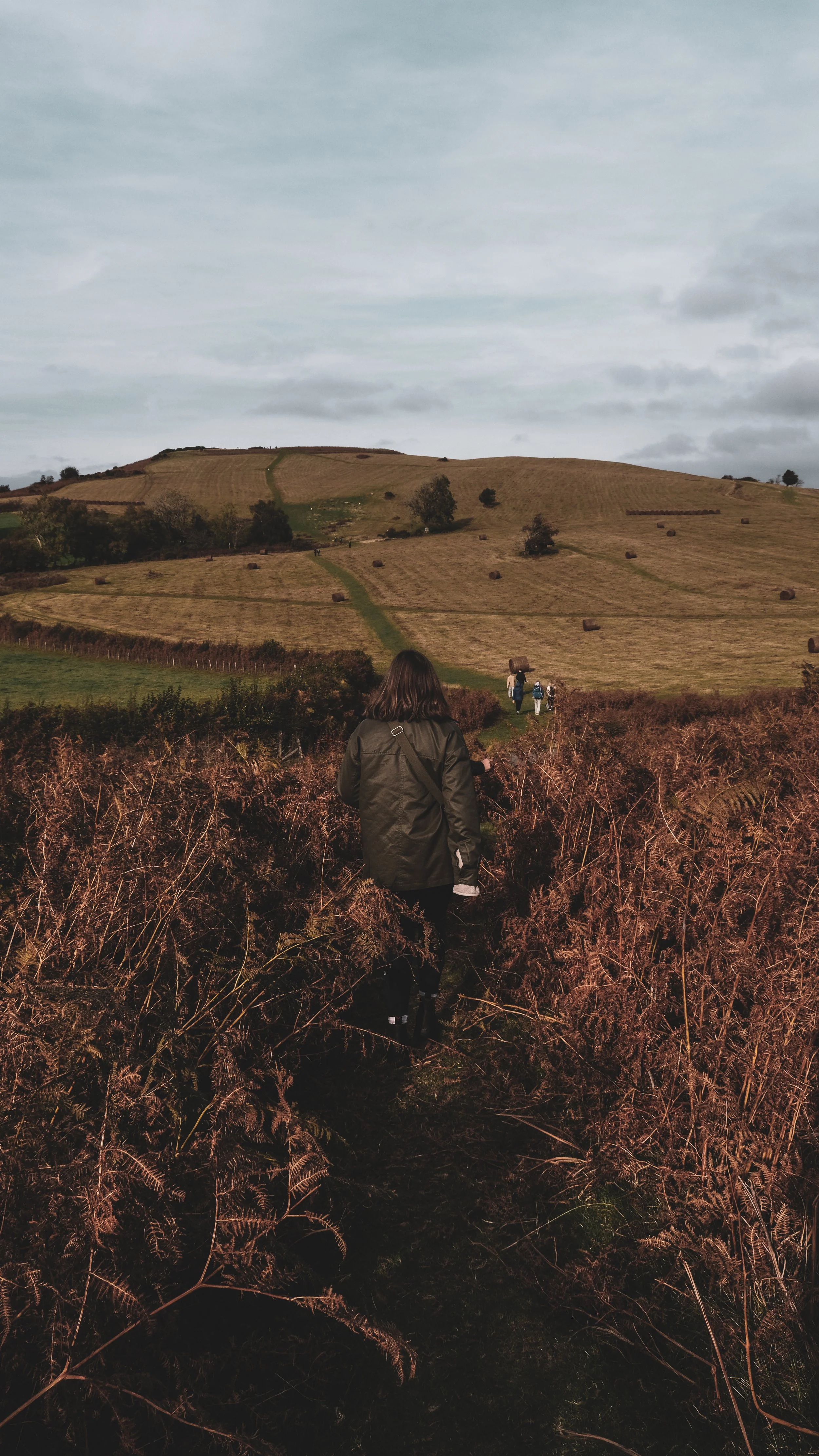 Person walking through brown ferns on a hillside trail with rolling hills and hay bales in the distance under a cloudy sky.