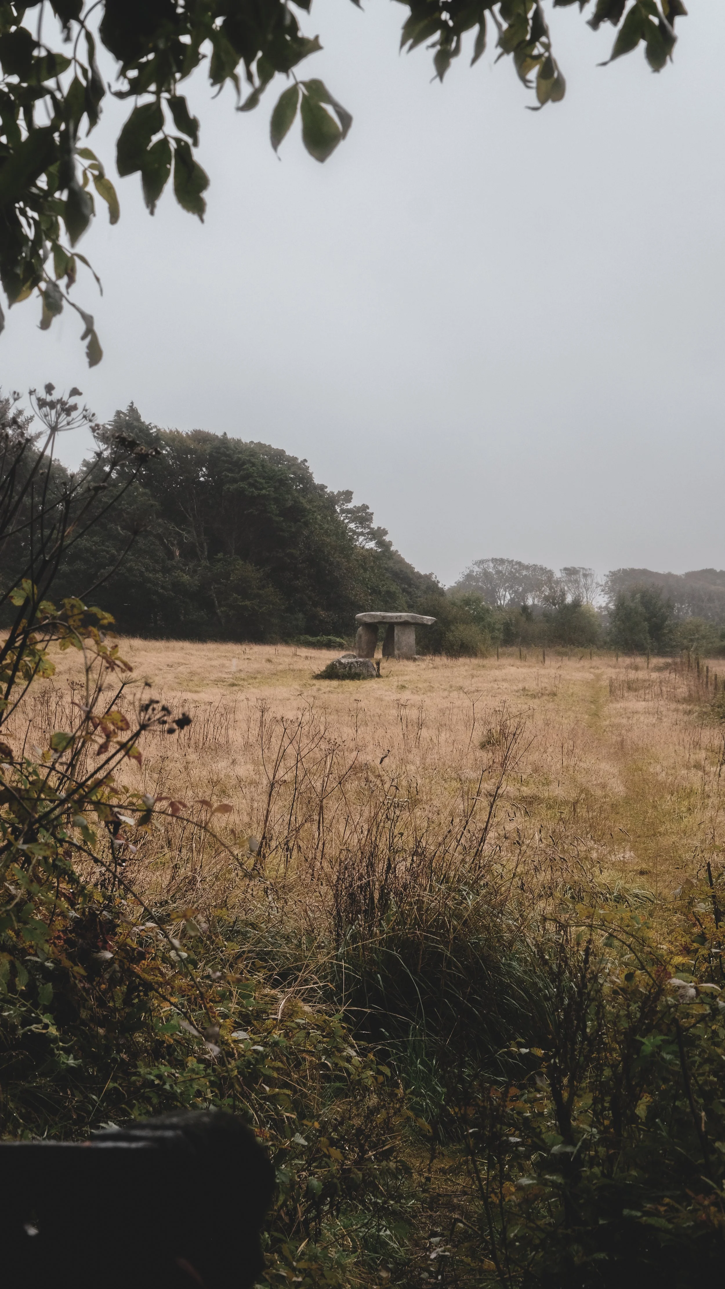 A grassy field with a stone dolmen monument in the distance, surrounded by trees and bushes, under a cloudy sky.